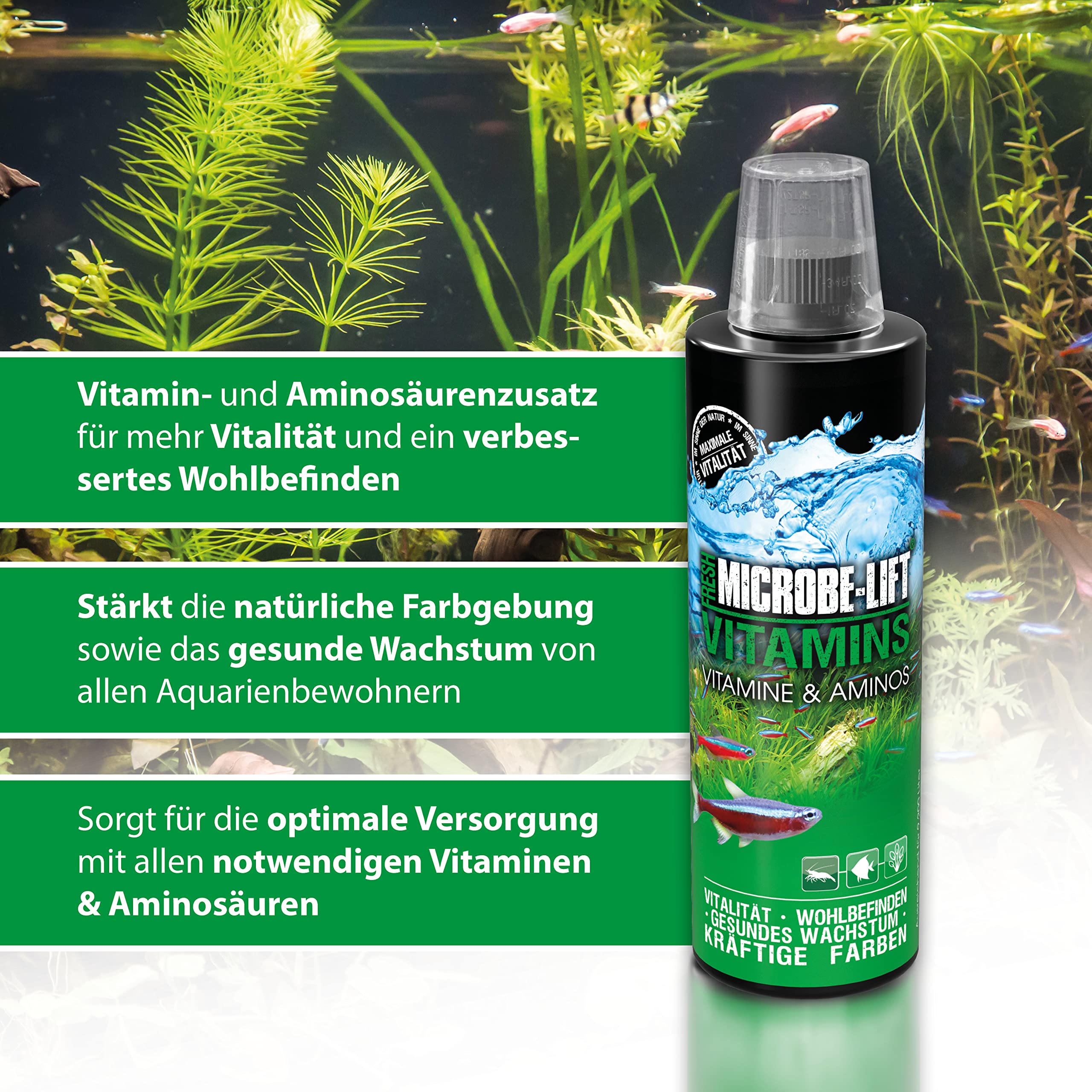 MICROBE-LIFT Vitamins & Amino Acids Supplement for Fish - 16 oz (9067-L) | Promotes Healthy Growth & Color Enhancement | Ideal for Freshwater & Saltwater Aquariums