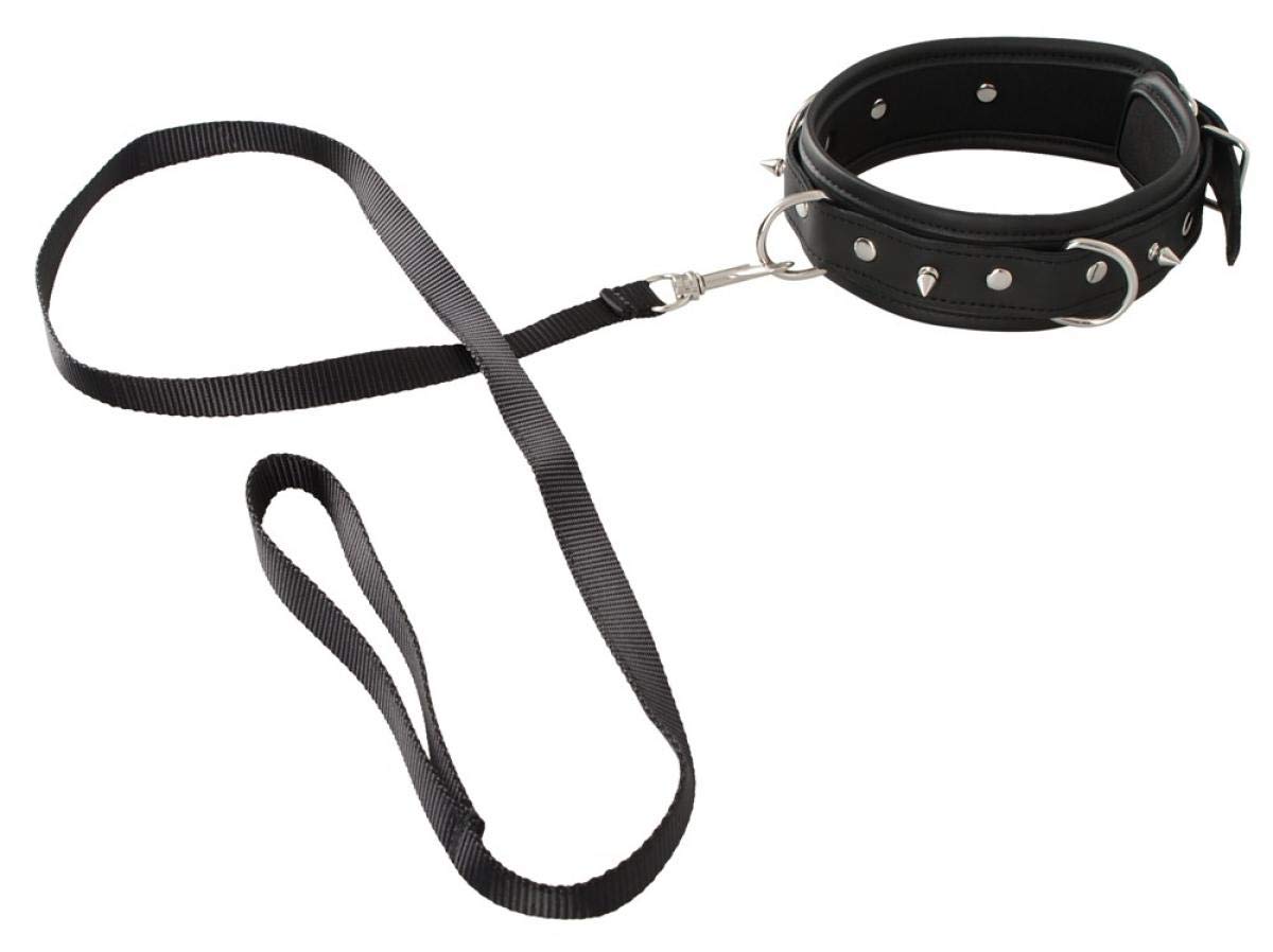 100% Vegan Dog Collar with Leash - Eco-Friendly Pet Accessories for Small & Large Dogs - Perfect for Daily Walks, Training & Outdoor Adventures