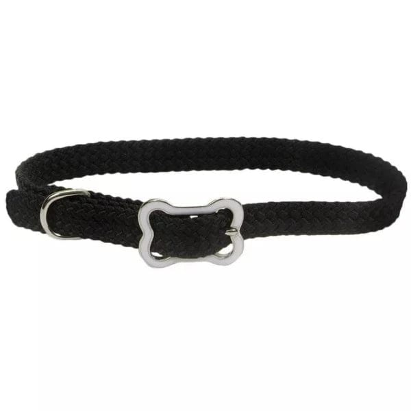 Stylish Coastal Sunburst Dog Collar with Durable Bone Buckle - Perfect for Beach Walks & Outdoor Adventures