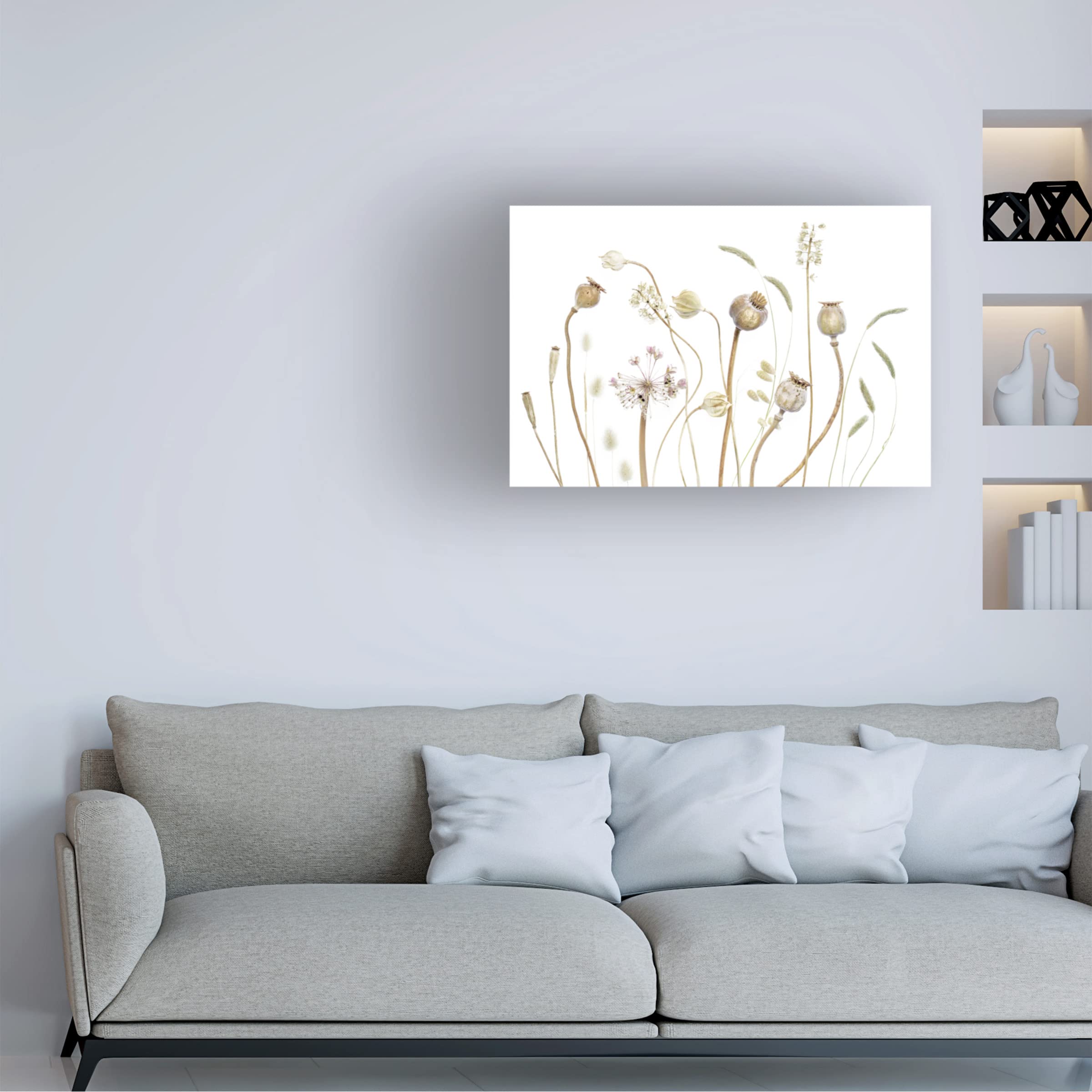 Trademark Fine Art 'Pods' Canvas Wall Art by Mandy Disher - Modern Home Decor for Living Room, Bedroom & Office
