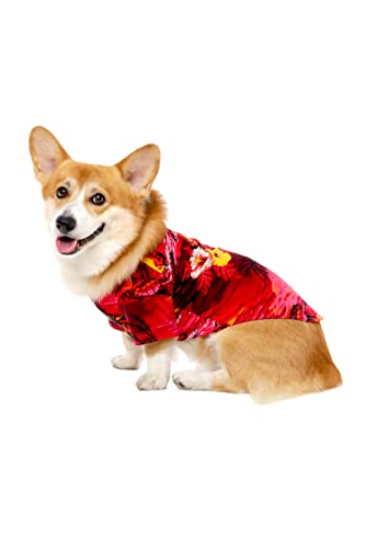 Dog Shirt