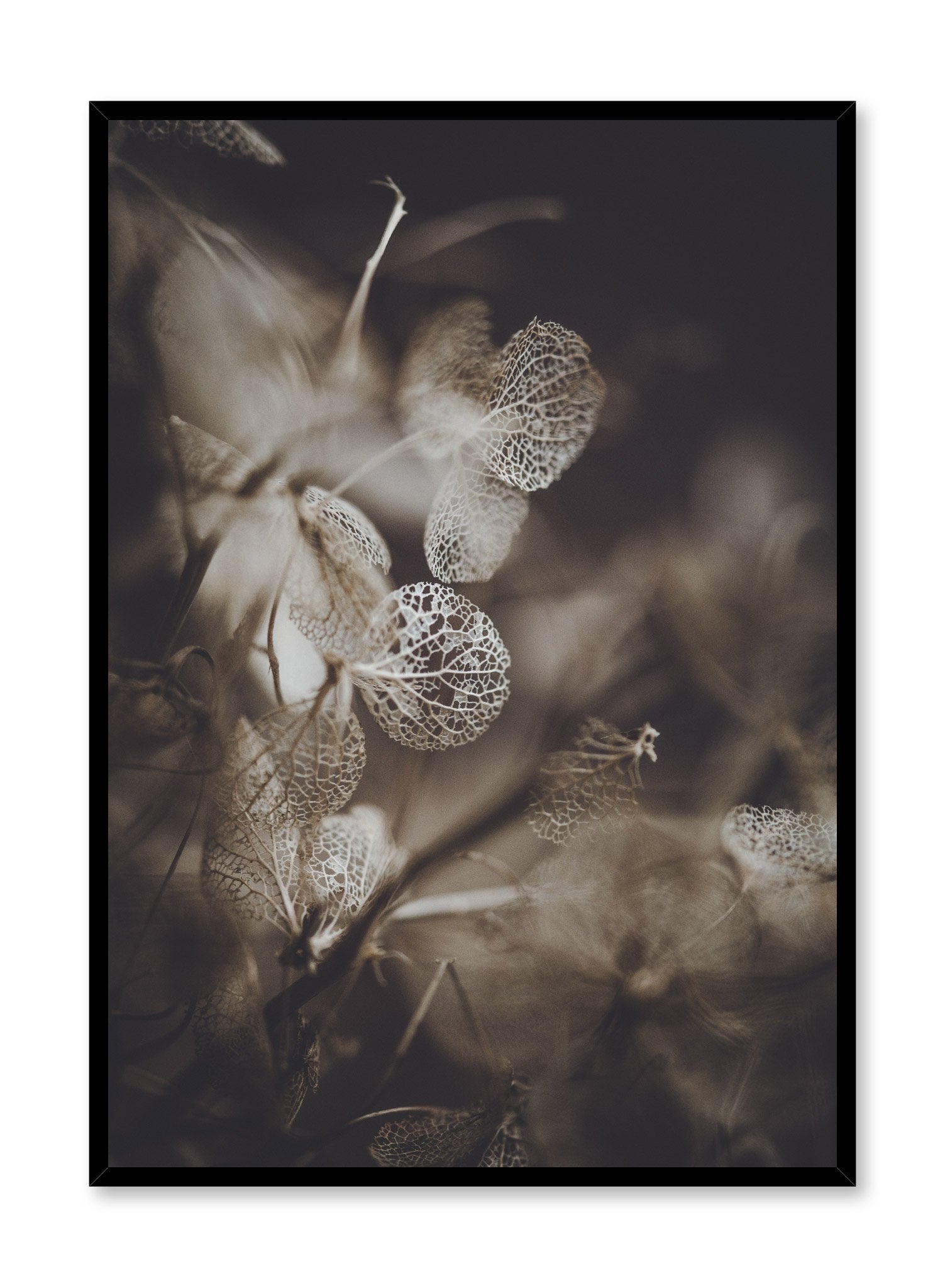Hydrangea Floral Art Print Poster - Vintage Botanical Wall Decor for Living Room, Bedroom & Office