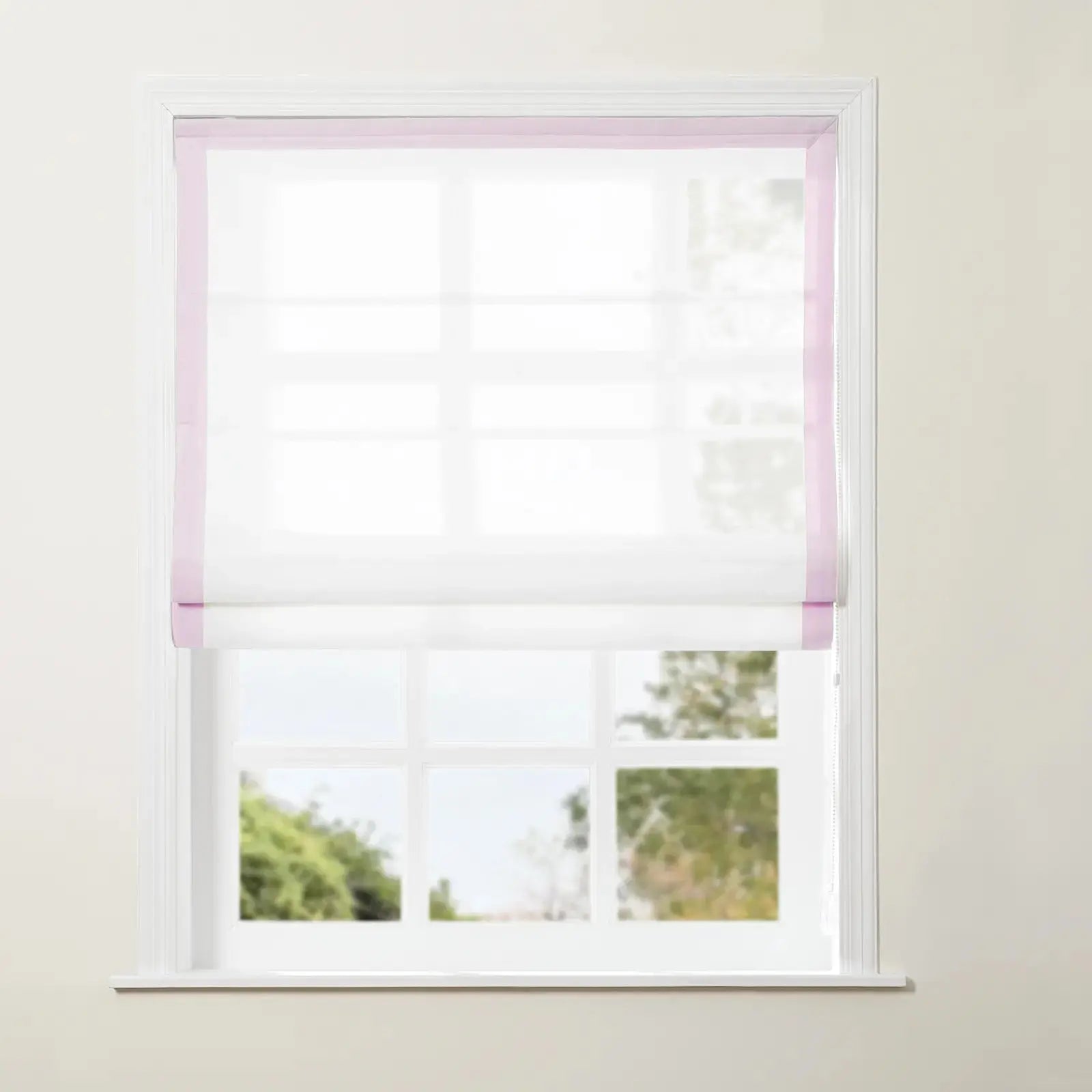 Pink Border Stripe