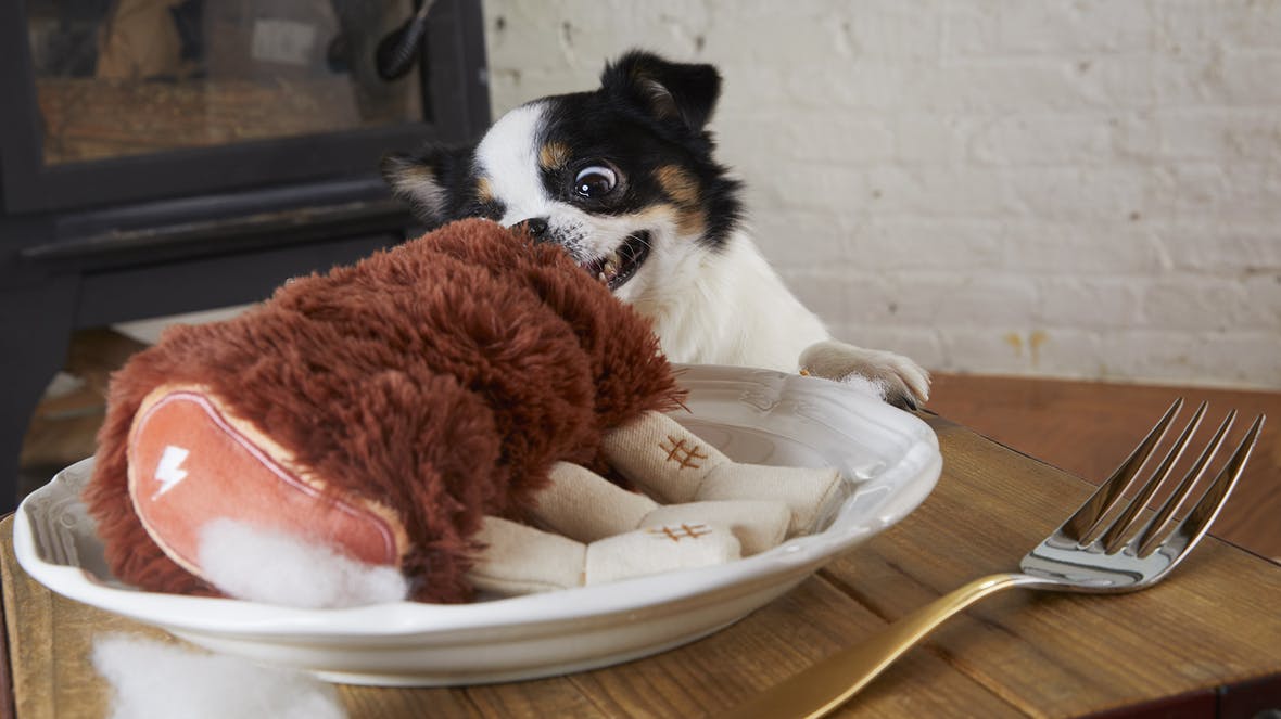 $18 ONLY: BarkShop Wreck of Lamb Dog Plush Toy - Soft & Durable Chew Toy for Aggressive Chewers, Perfect for Playtime & Training (Large Breed Dogs)