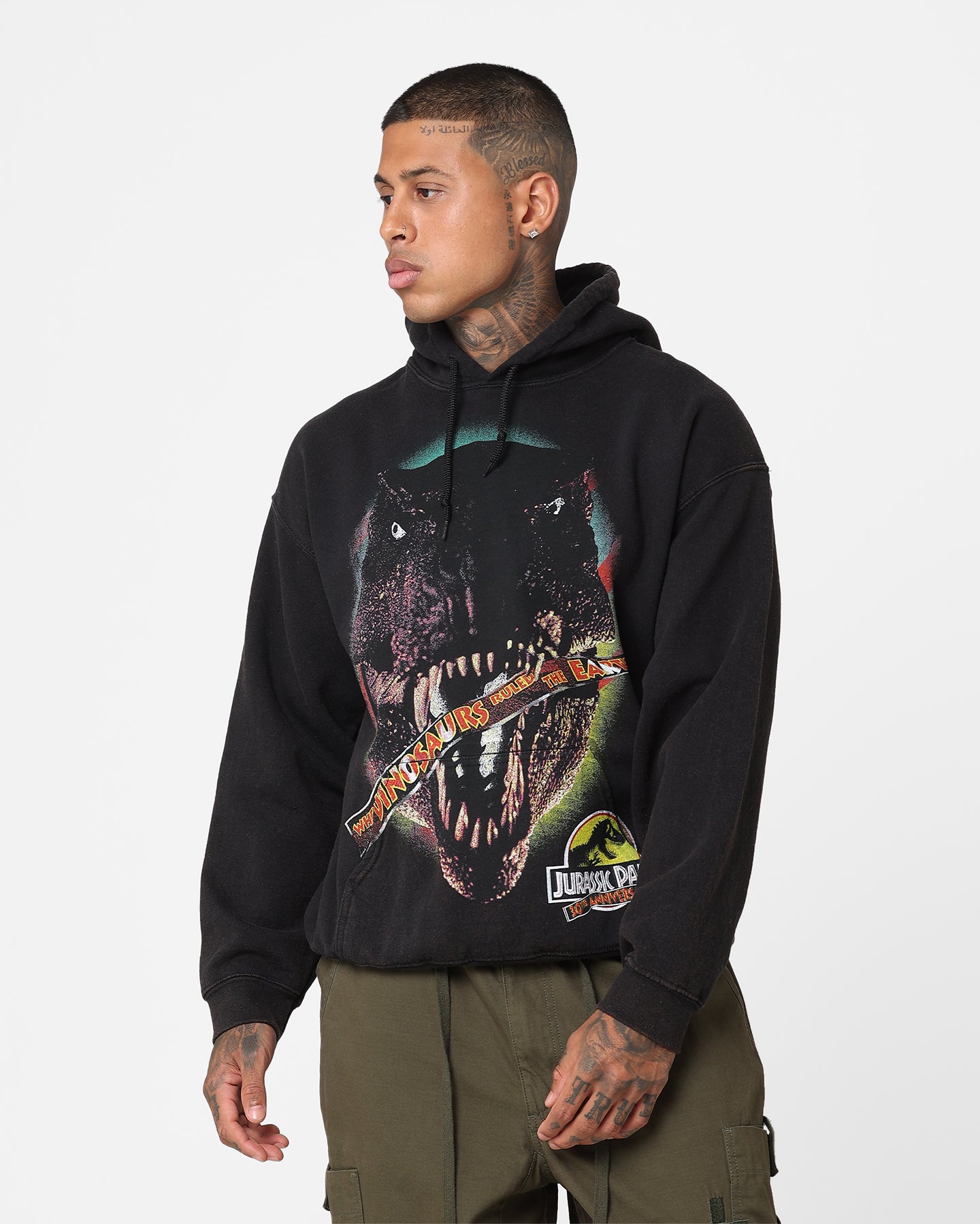 American Thrift Jurassic Park 30th Anniversary Hoodie - Black Wash - Vintage Movie Merchandise for Fans & Collectors - Perfect for Casual Wear, Cosplay, and Gift Giving