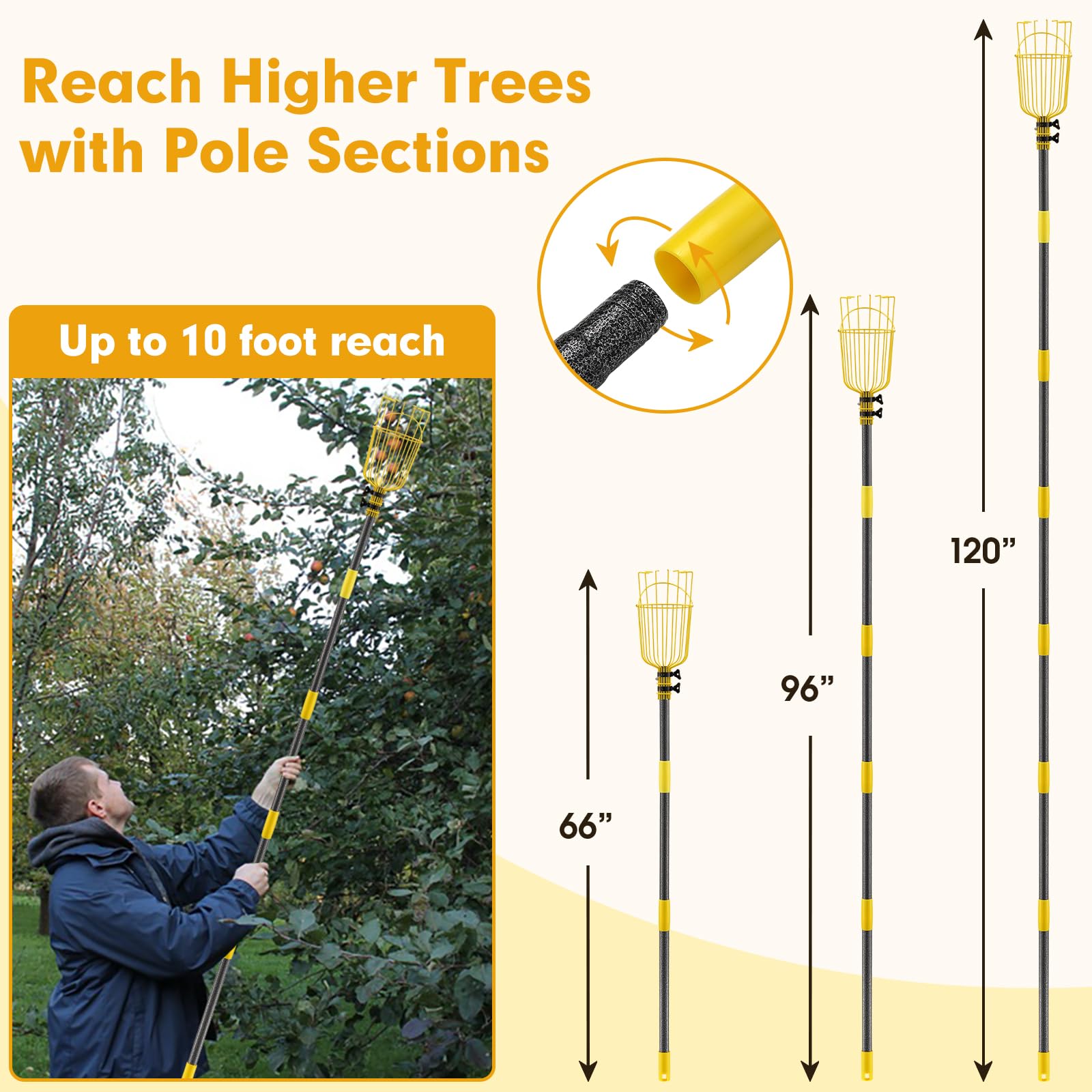 10FT Adjustable Fruit Picker Tool with Pole & Large Basket - Heavy Duty Fruit Harvesting Equipment for Apples, Oranges, Mangoes, Avocados & More - Perfect for Home Orchards, Backyard Harvesting & Commercial Fruit Picking