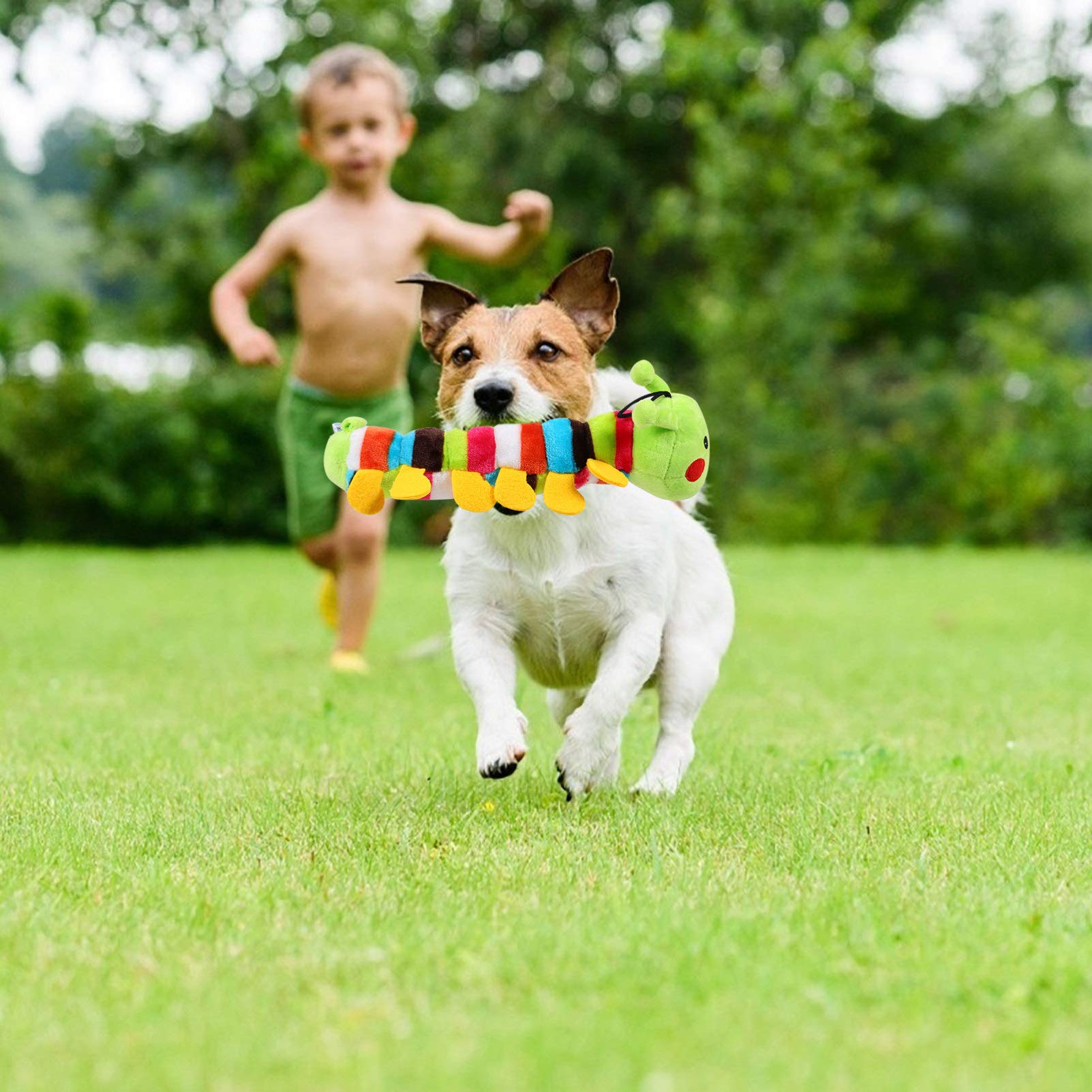 Balacoo 2-Pack Soft Plush Caterpillar Dog Chew Toys - Durable Puppy Teething Toys for Small & Medium Dogs, Interactive Fetch & Molar Relief Pet Toys - Perfect for Indoor Play, Training Rewards & Anxiety Relief