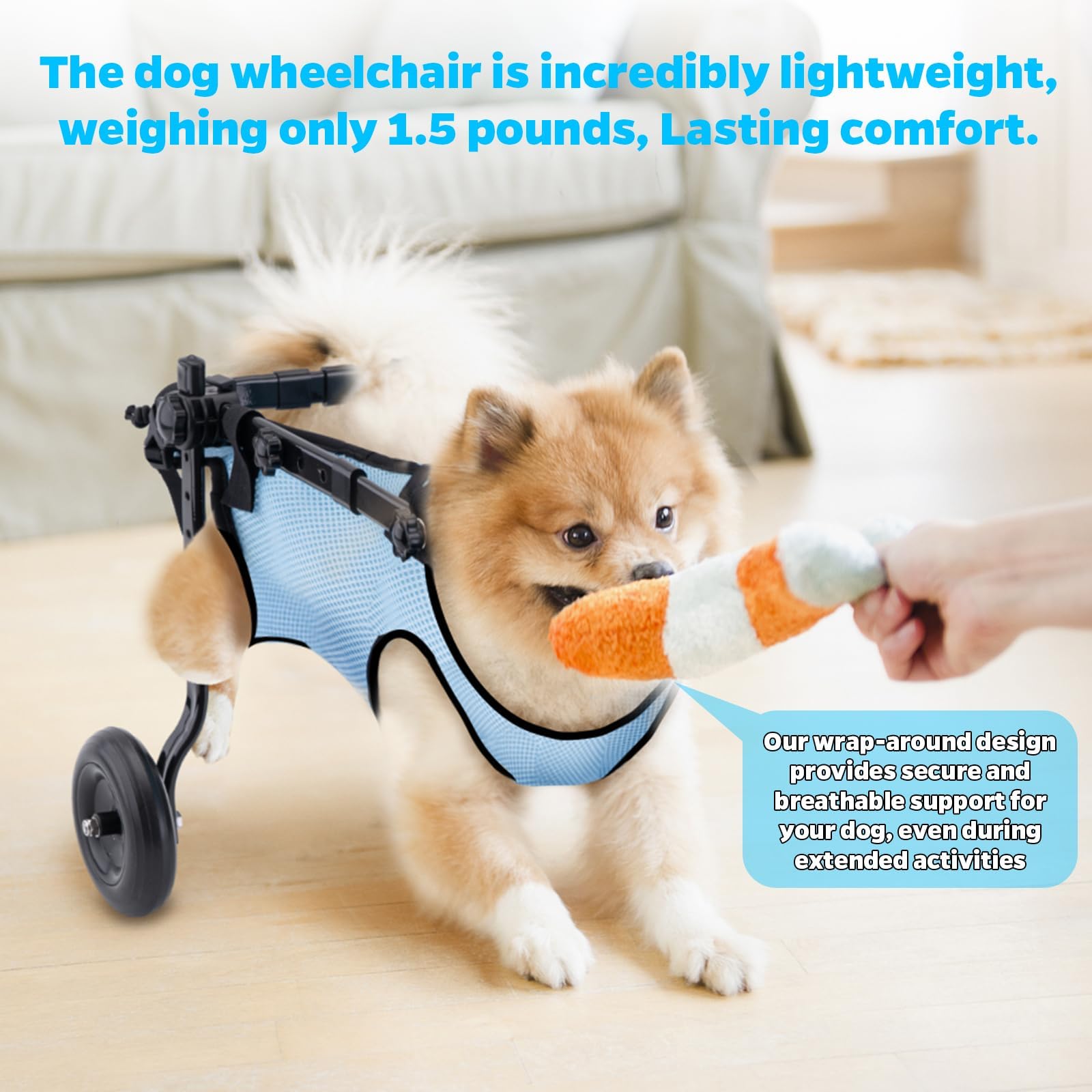 Dog Wheelchair for Back Legs - Lightweight Mobility Aid Cart for Small Dogs & Cats with Disabled Hind Legs - Adjustable Pet Wheelchair for Walking Assistance (Ideal for Post-Surgery Recovery & Daily Mobility Support)