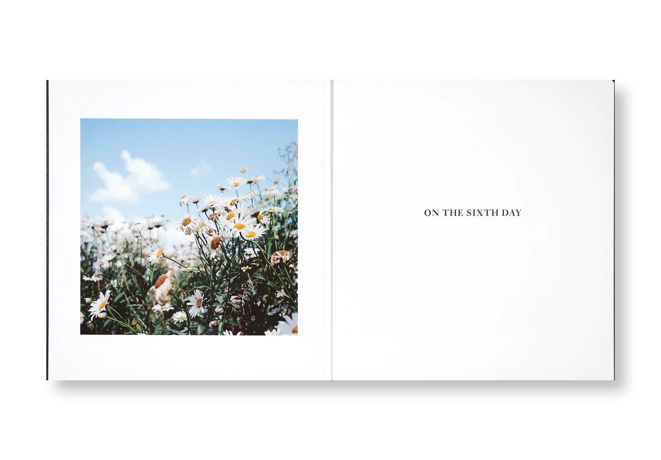 ON THE SIXTH DAY by Alessandra Sanguinetti - Photography Book, Art Book, Contemporary Photography - Perfect for Art Lovers, Photography Enthusiasts, and Coffee Table Decor