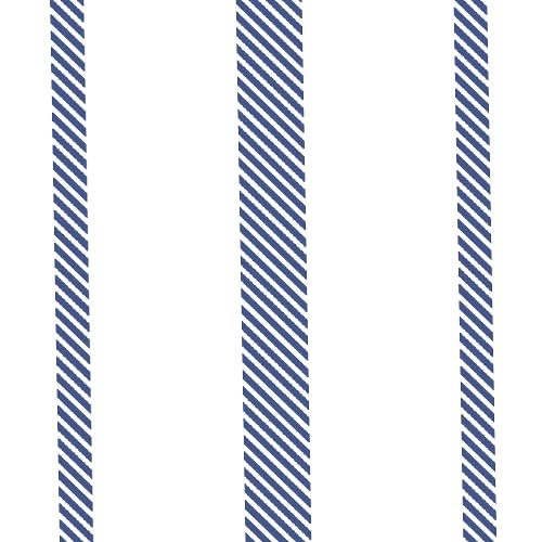 12 - Blue Stripe Print