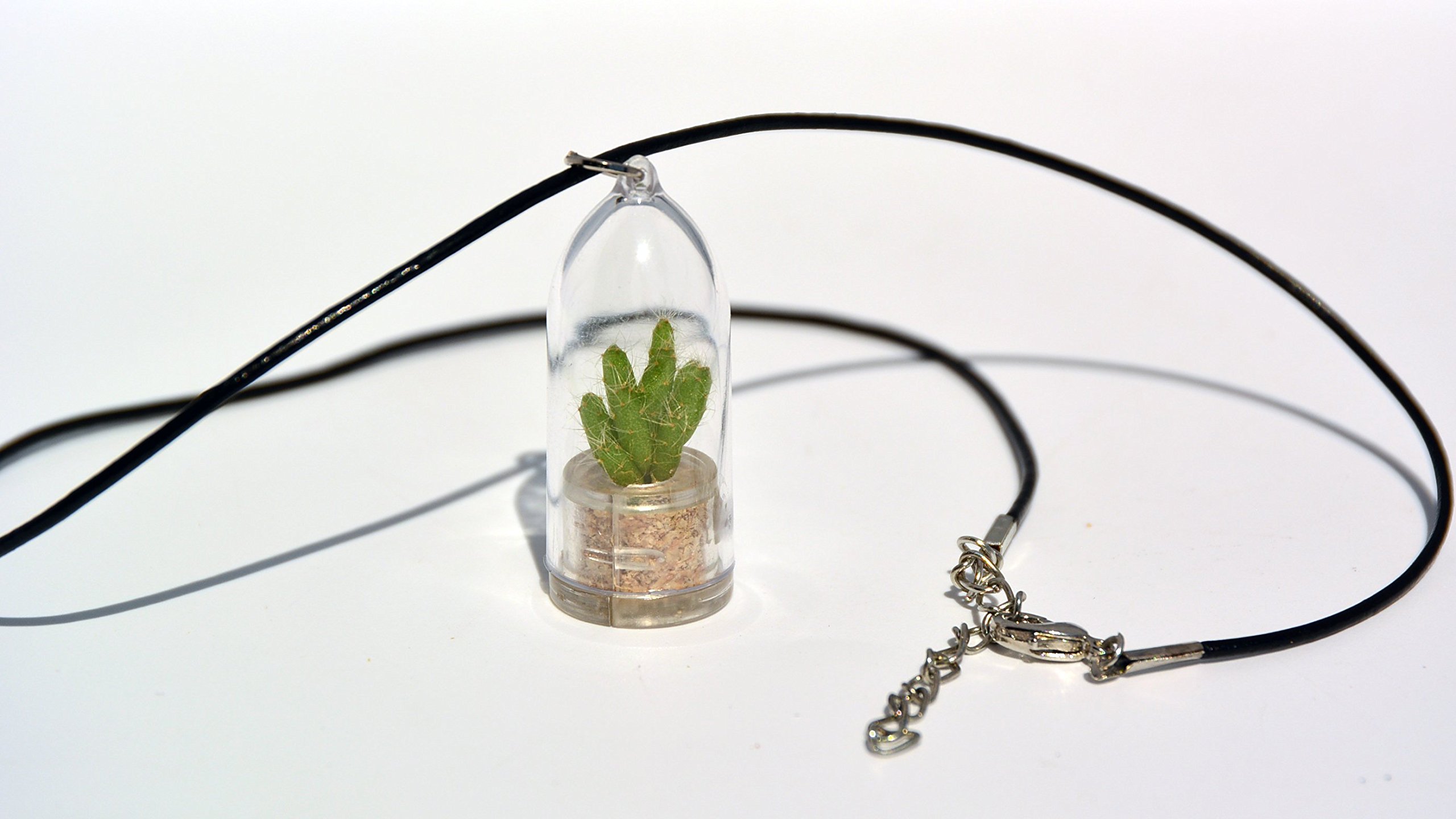 Terrarium Flower Necklace with Live Apple Cactus Succulent - 18