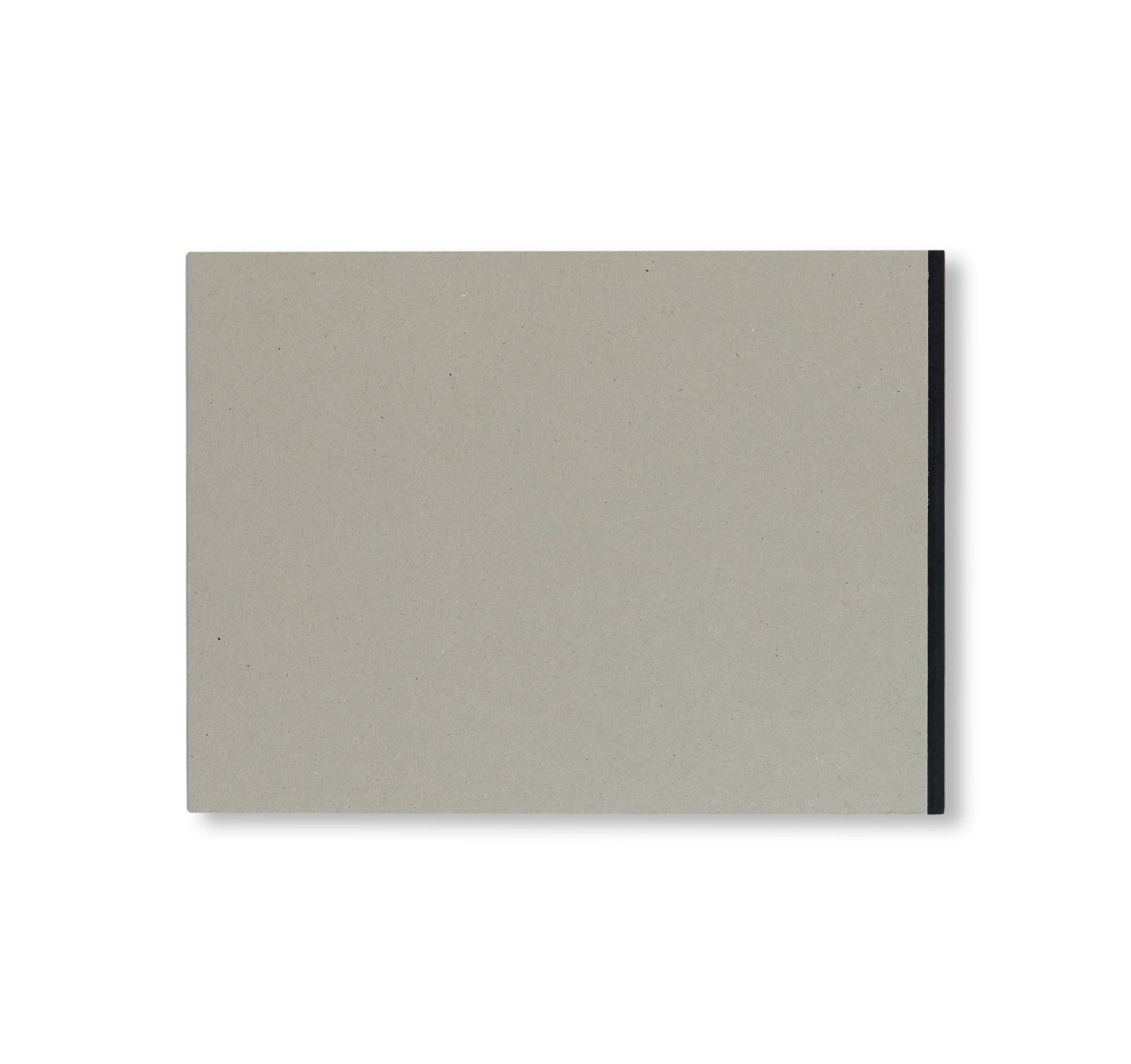 NEW OBSERVATIONS by Roman Ondák - Contemporary Art Book for Collectors & Enthusiasts | Perfect for Home Decor, Gallery Displays & Art Inspiration