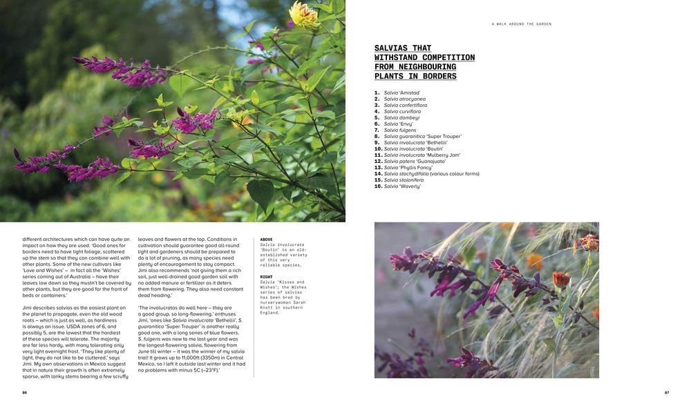 Beautiful Obsession: Jimi Blake's World of Plants at Hunting Brook Gardens - Gardening Inspiration & Rare Plant Collection for Home & Landscape Design