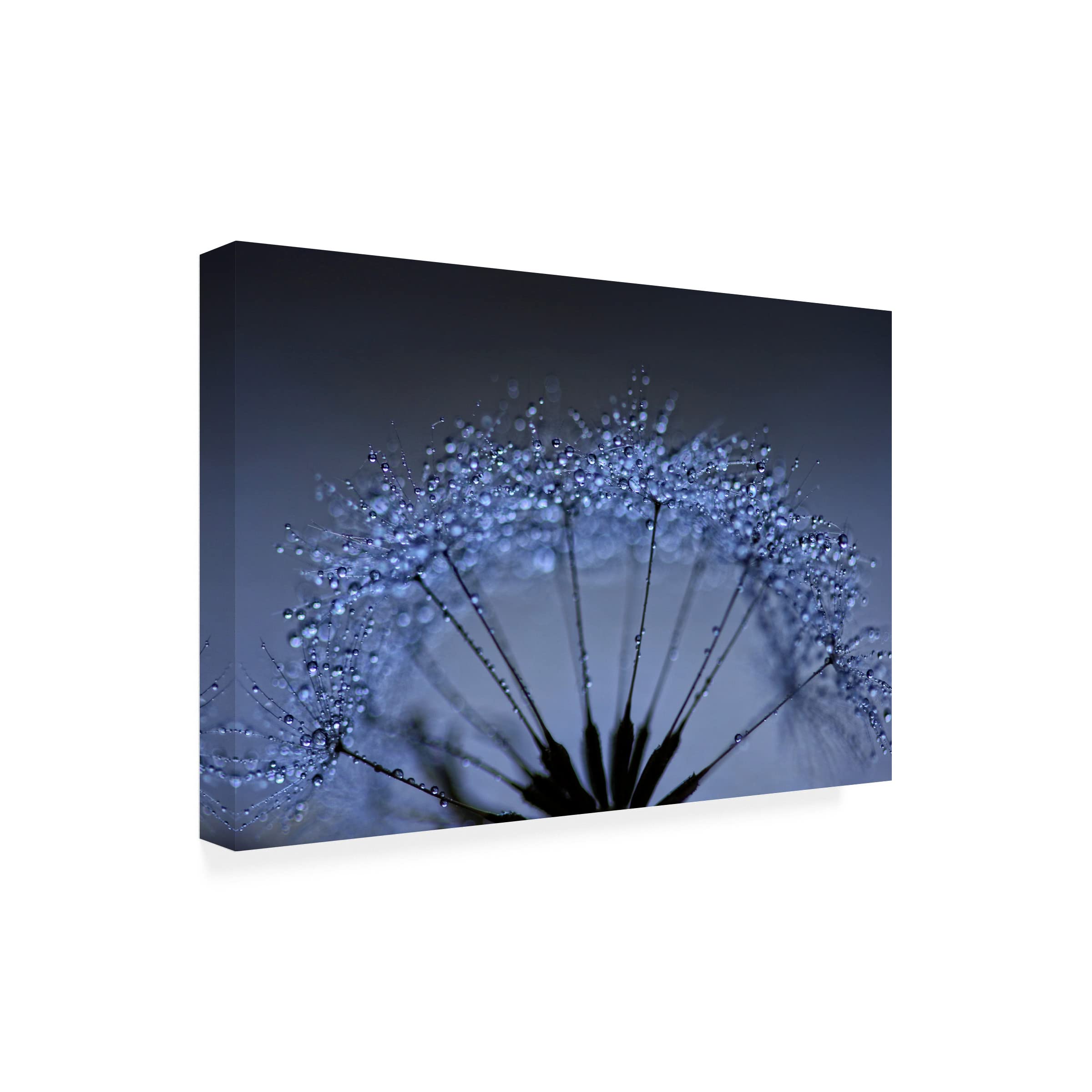 Trademark Fine Art 'Shine and Sparkle' Canvas Wall Art by Beata Czyzowska - Modern Abstract Painting for Living Room, Bedroom & Office Decor