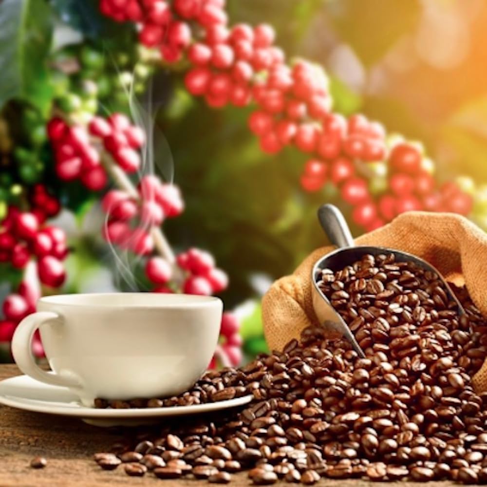 Lion Coffee Toasted Coconut Flavored Light Roast Whole Bean Coffee - 24 Ounce Bag - Premium Hawaiian Coffee for Home Brewing, Office & Gifts - Taste of Aloha in Every Cup