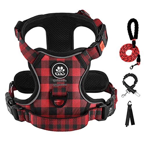 Checkered Red