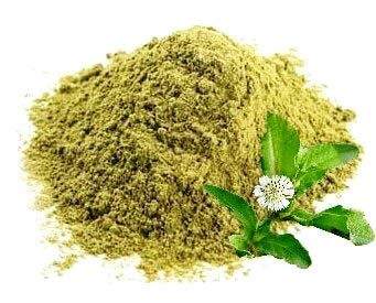 Organic Bhringraj Powder (False Daisy) by Sanaa Zesty - 8 oz | Ayurvedic Hair Growth & Scalp Treatment for Thicker, Healthier Hair | Natural Herbal Remedy for Hair Loss & Dandruff