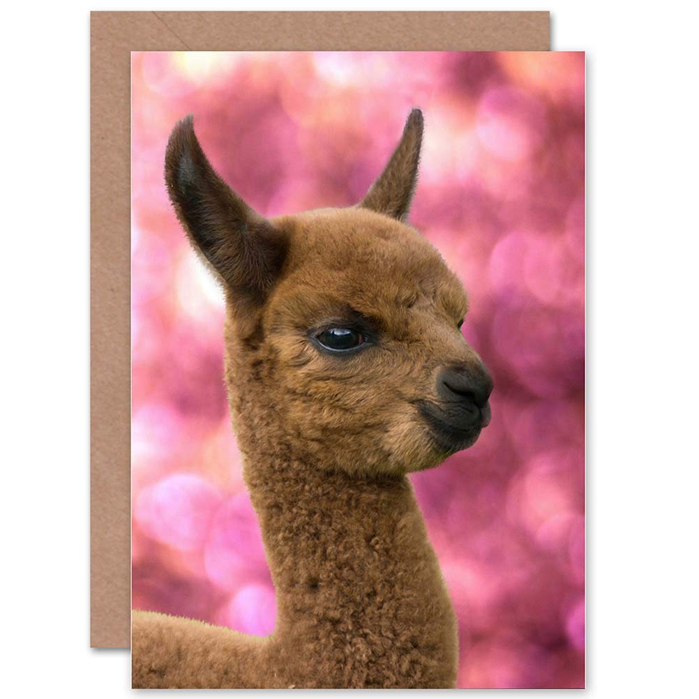 Wee Blue Coo Birthday Greeting Card - Cute Alpaca Llama Animal Design for Baby Shower & Special Occasions | Perfect Gift for Birthdays, Anniversaries & Celebrations