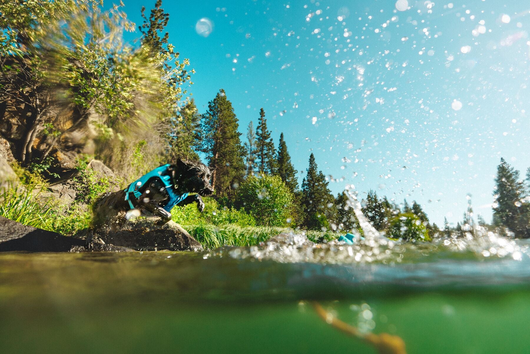 Lunker® Foam Water Toy for Dogs - Purple Orchid | Ruffwear® - Perfect for Pool, Beach & Outdoor Play