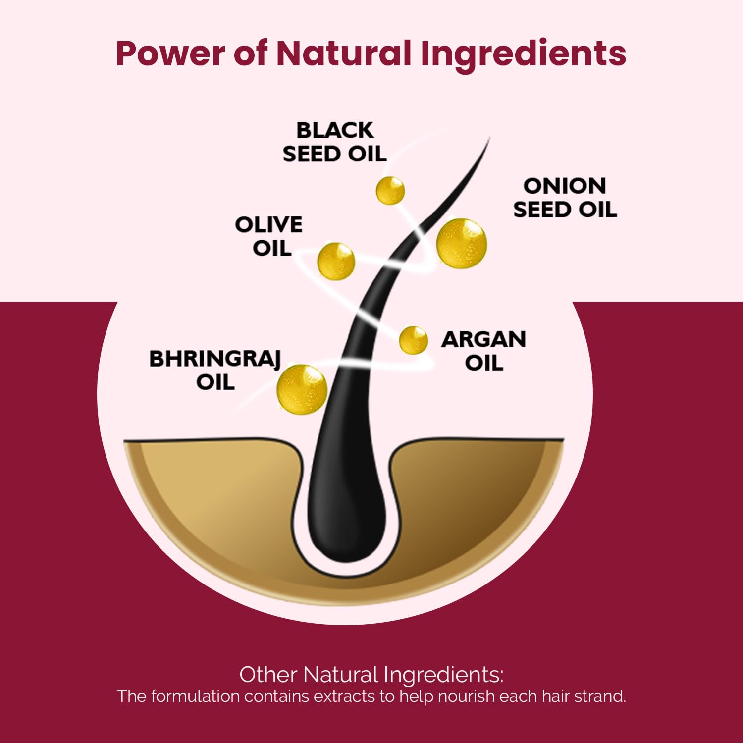 CO LUXURY Onion Hair Oil for Hair Growth & Hair Fall Control - Ayurvedic Oil with 15 Herbs for Stronger, Longer Hair | Chemical-Free, Non-Sticky Formula (200ml) | Perfect for Daily Hair Care & Scalp Massage
