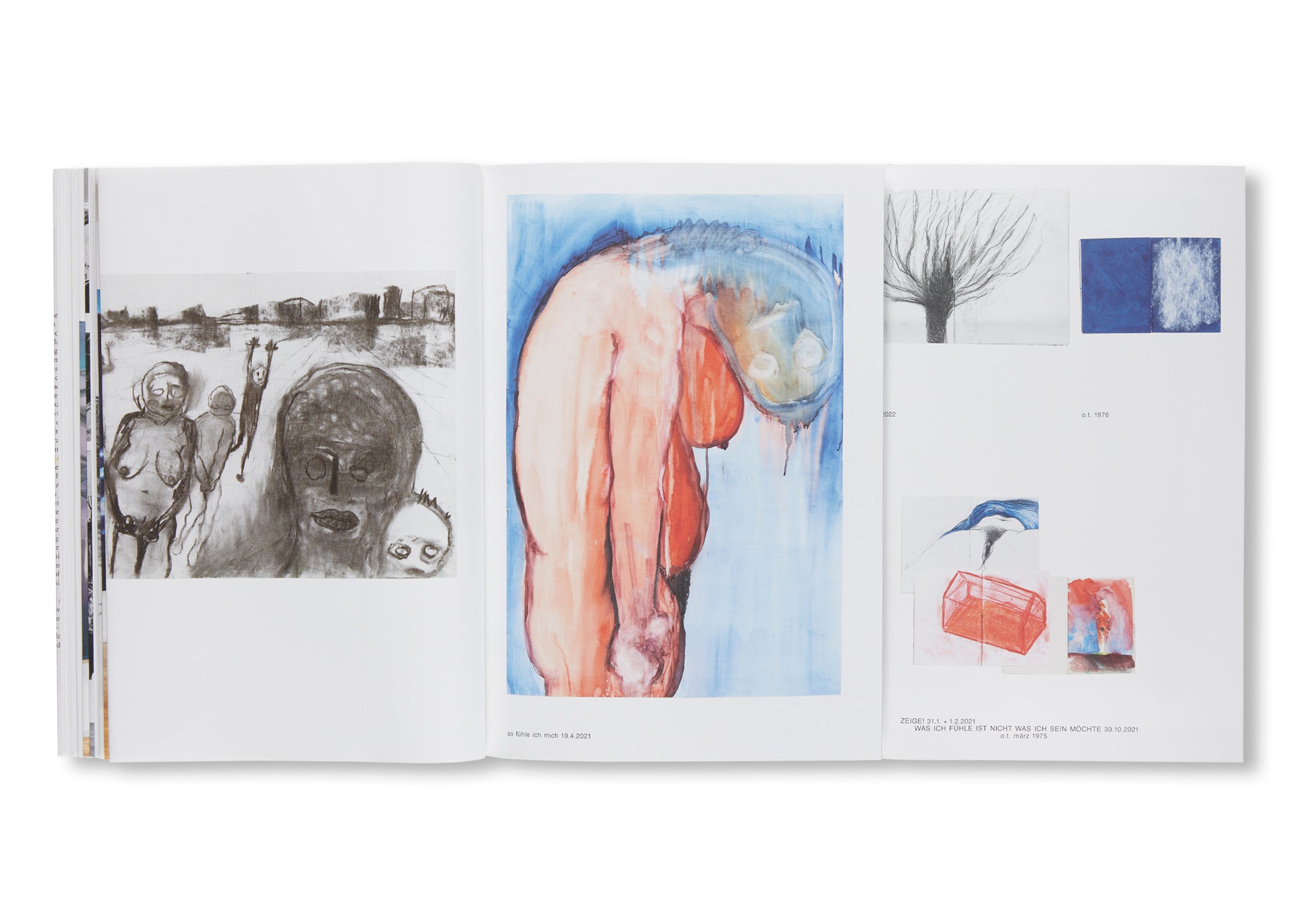 MEINEJUDEN by Miriam Cahn - Contemporary Art Book Collection | Jewish Art & Culture Exploration | Perfect for Art Lovers, Collectors & History Enthusiasts