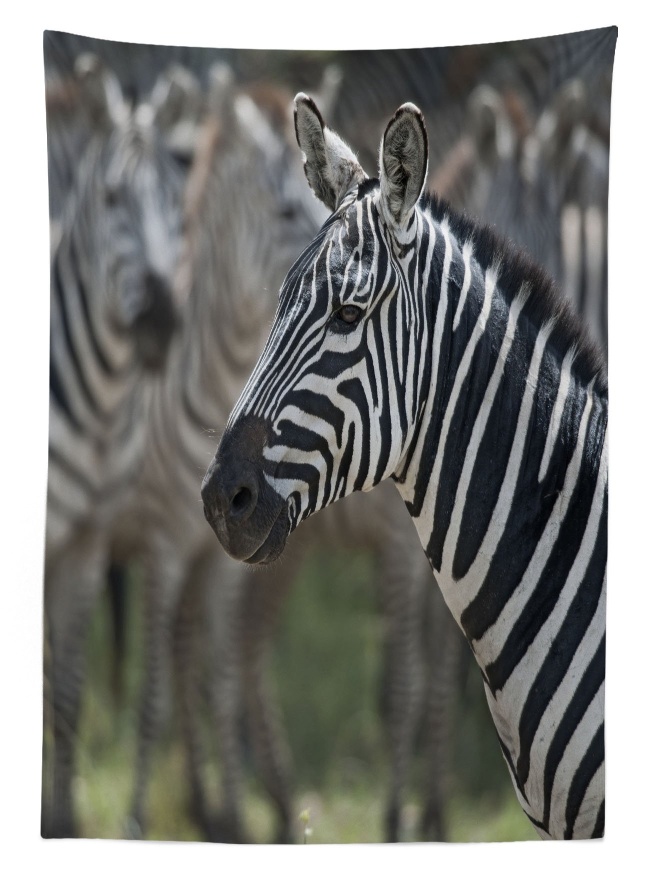 Ambesonne African Zebra Print Outdoor Tablecloth - Serengeti National Park Savannah Animal Design - Waterproof Washable Picnic Table Cover 58
