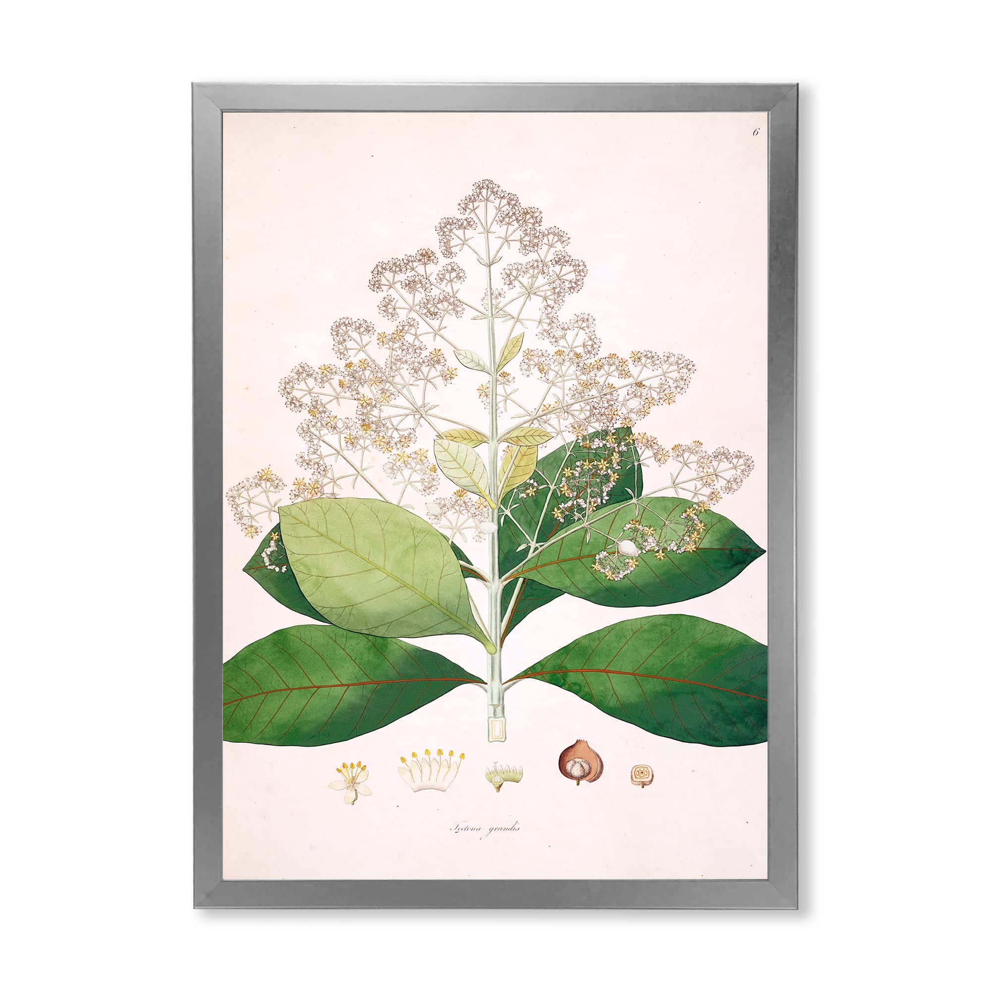 Vintage London Plants III Framed Wall Art - Farmhouse Decor for Living Room, Bedroom & Office | Botanical Print Home Decor