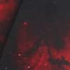 Galaxy #10