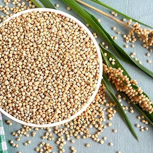 Organic Popped Sorghum Snacks - Keto, Gluten-Free, Healthy Alternative to Popcorn - for On-the-Go & Movie Nights