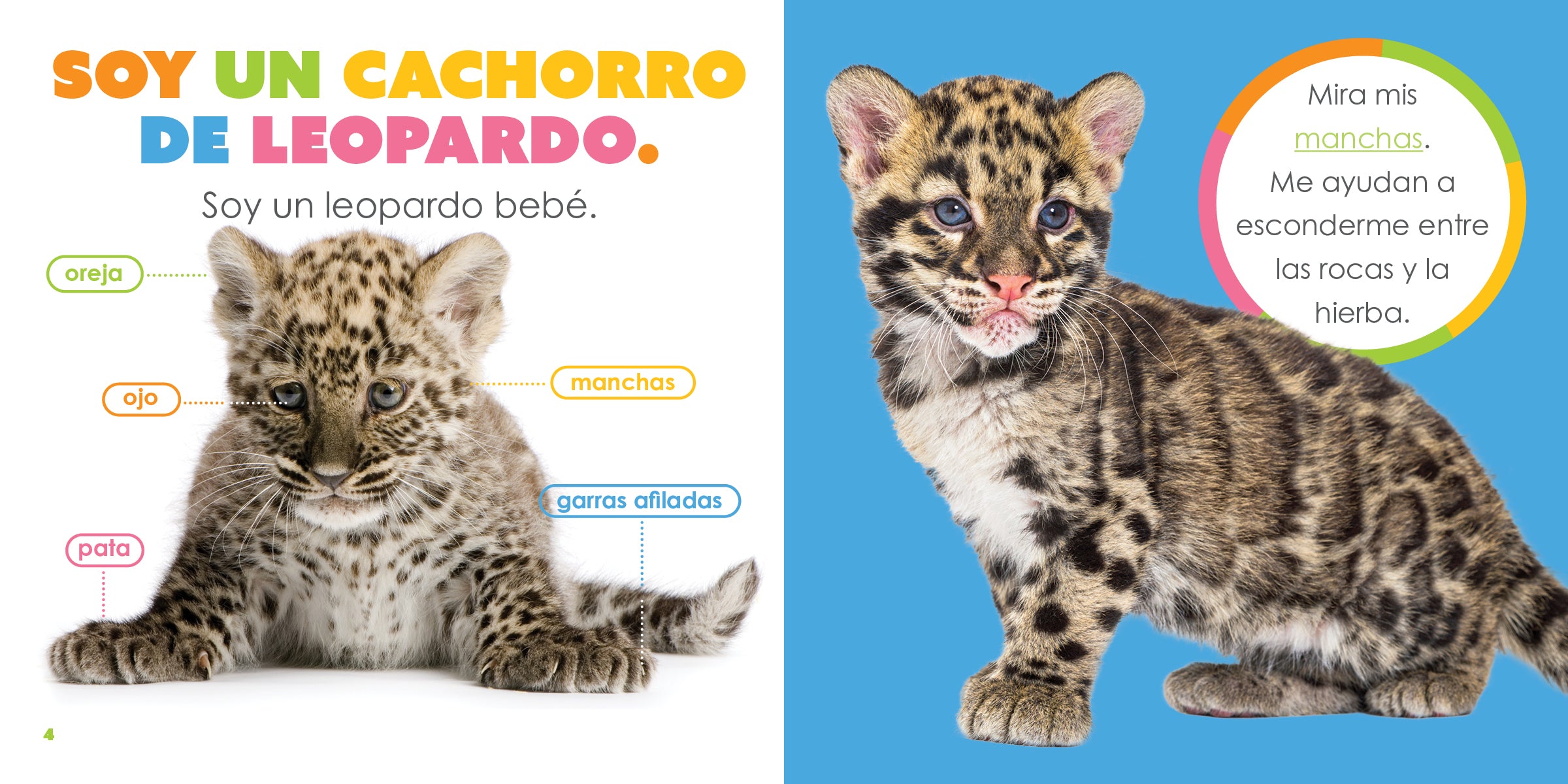 Leopard Print Baby Clothes - The Beginning of Style | Soft & Comfortable Outfits for Newborns & Infants | Perfect for Photo Shoots, Birthday Parties & Everyday Wear