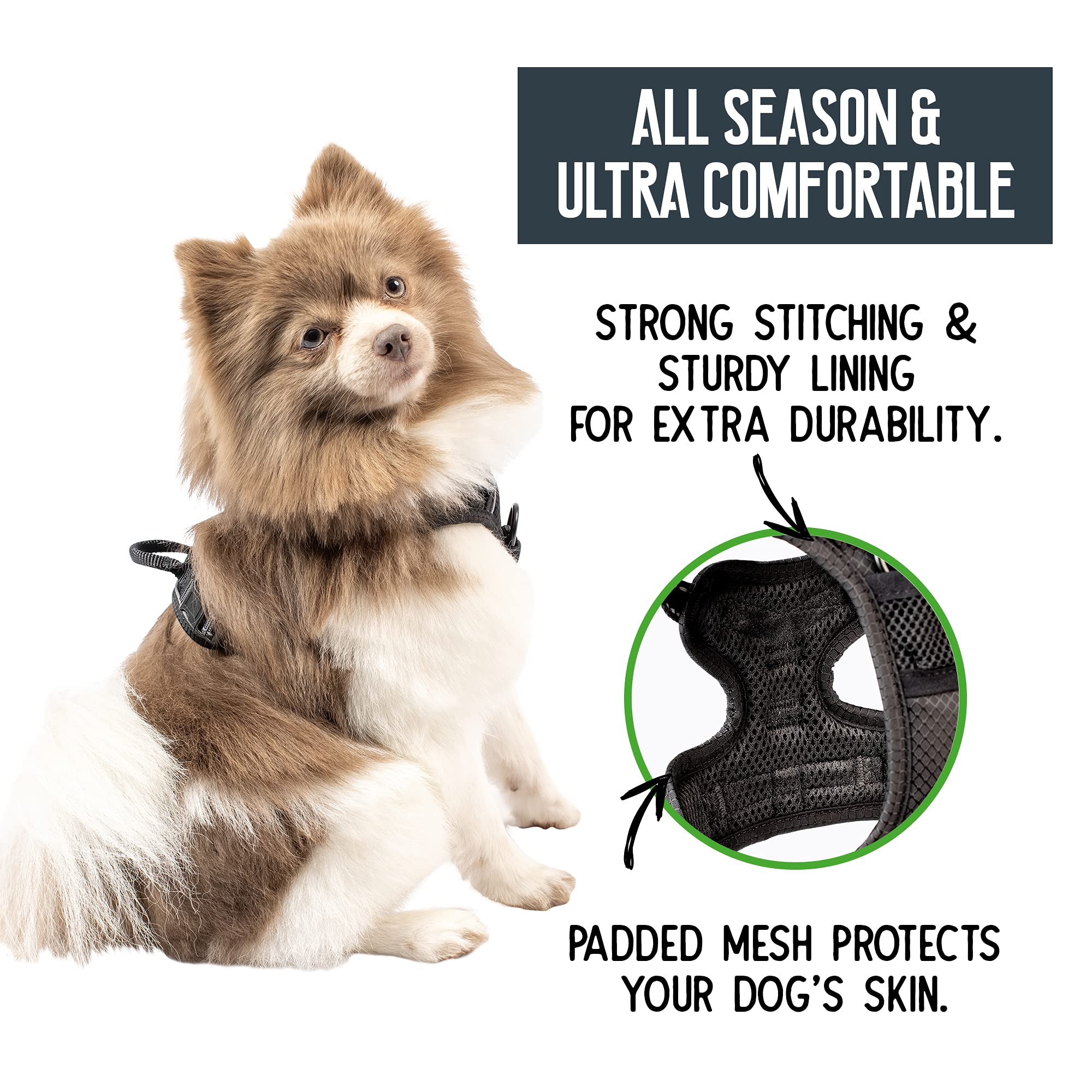 Premium Small Dog Harness for Walking & Training - Durable Pet Safety Vest with Adjustable Straps - Perfect for Outdoor Adventures, Hiking & Daily Walks