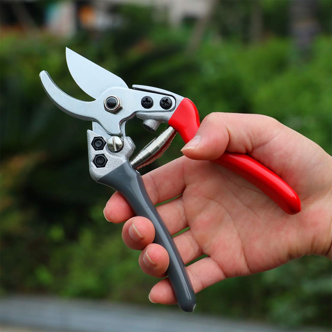 TOOLMOOM Professional Bypass Pruning Shears - Sharp Garden Scissors for Trimming, Cutting & Pruning Plants, Flowers, Shrubs - Ergonomic Hand Pruner for Gardening, Landscaping & Outdoor Use (Red-Grey)