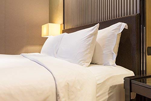 Premium Le'vista Down Pillows for Sleeping - Queen Size Set of 2, Luxury Fluffy Bed Pillows, Ultra Soft Standard Size Pillow Set - Perfect for Side Sleepers & Back Pain Relief (Home, Hotel, Guest Room)