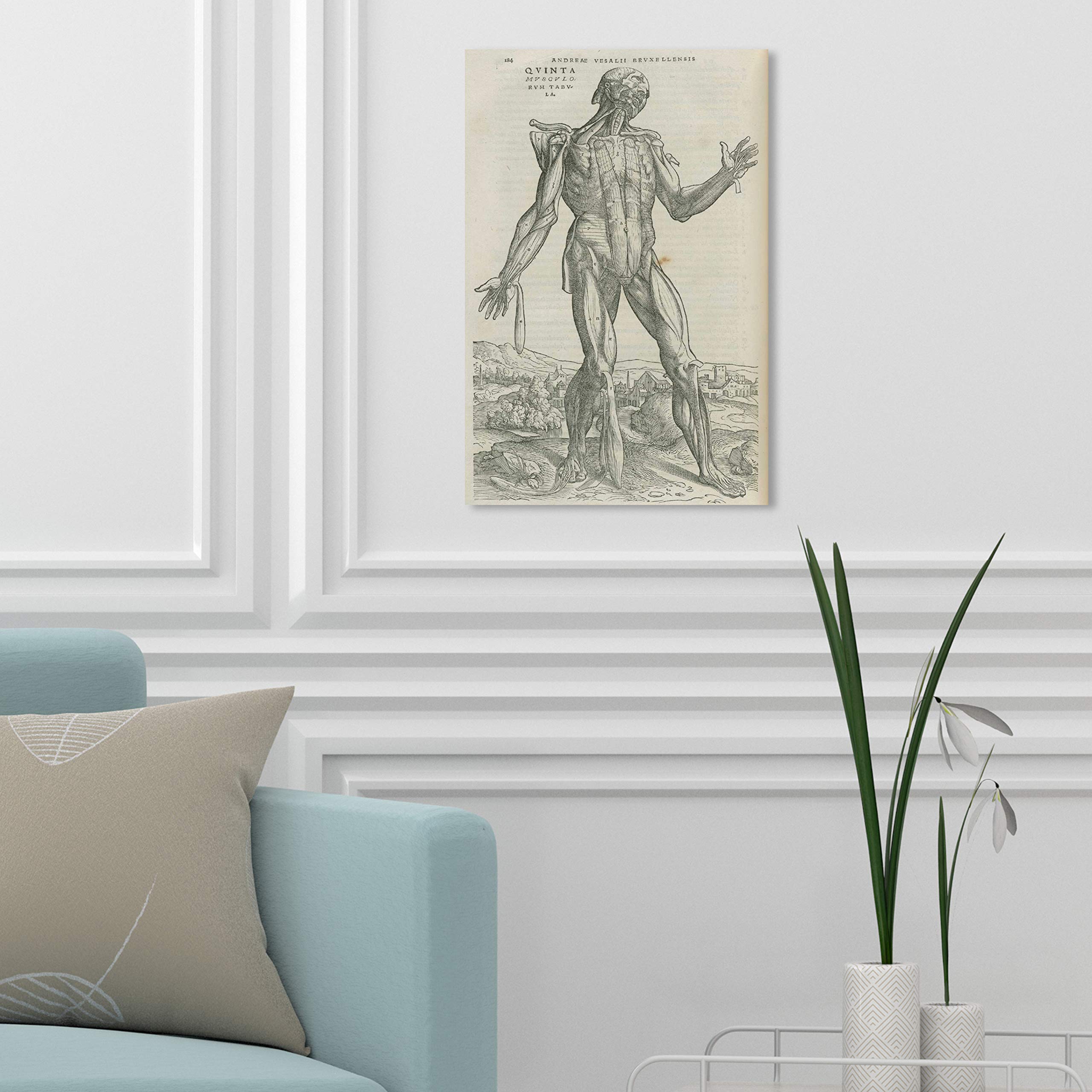 Oliver Gal Artist Co. 'Vesalius II' Gray & White Wall Art Canvas Print - 10x15 Inches - Modern Home Decor for Living Room, Bedroom & Office