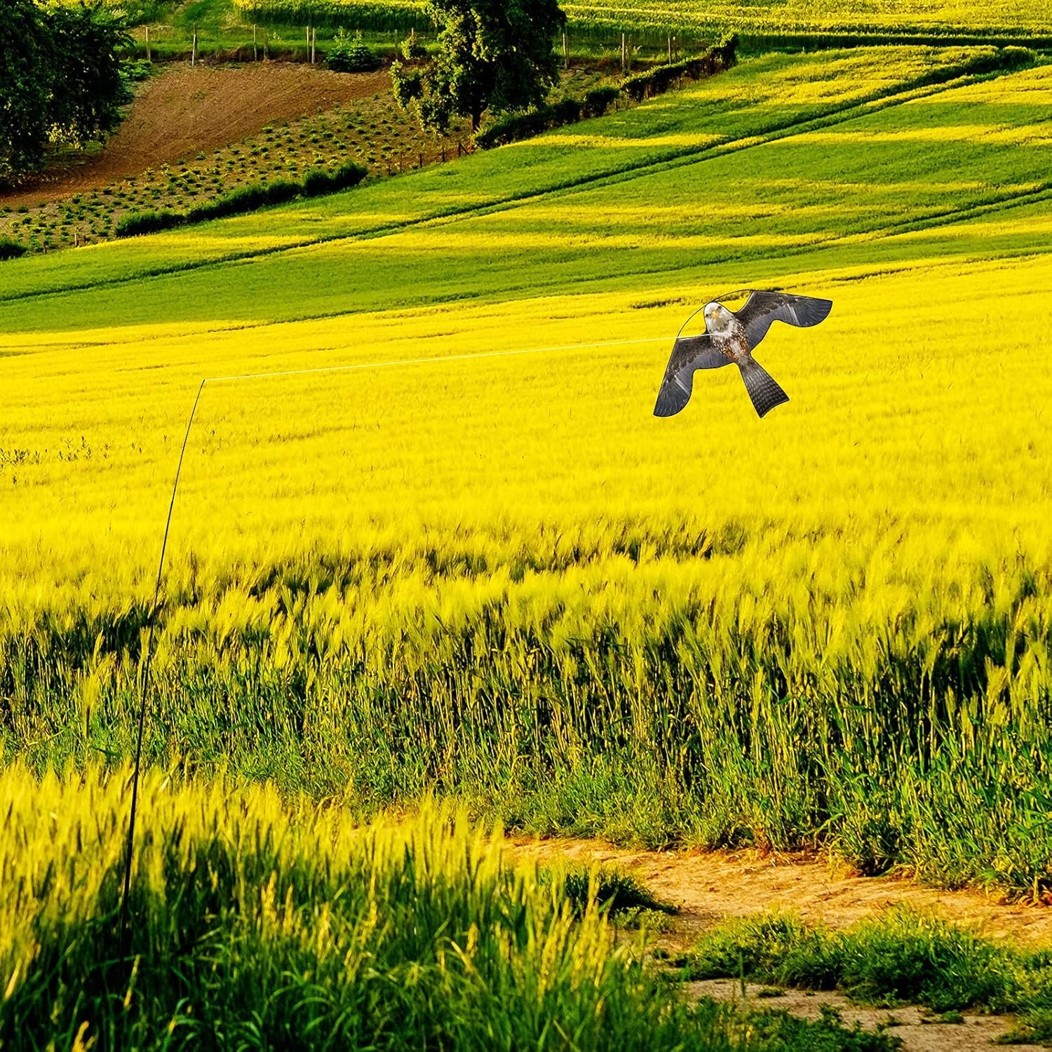 Bird Hawk Flying Kite with 4m Pole - Effective Crop Protector & Bird Scare for Gardens, Farms, and Fields | Durable Outdoor Pest Control Solution for Agriculture