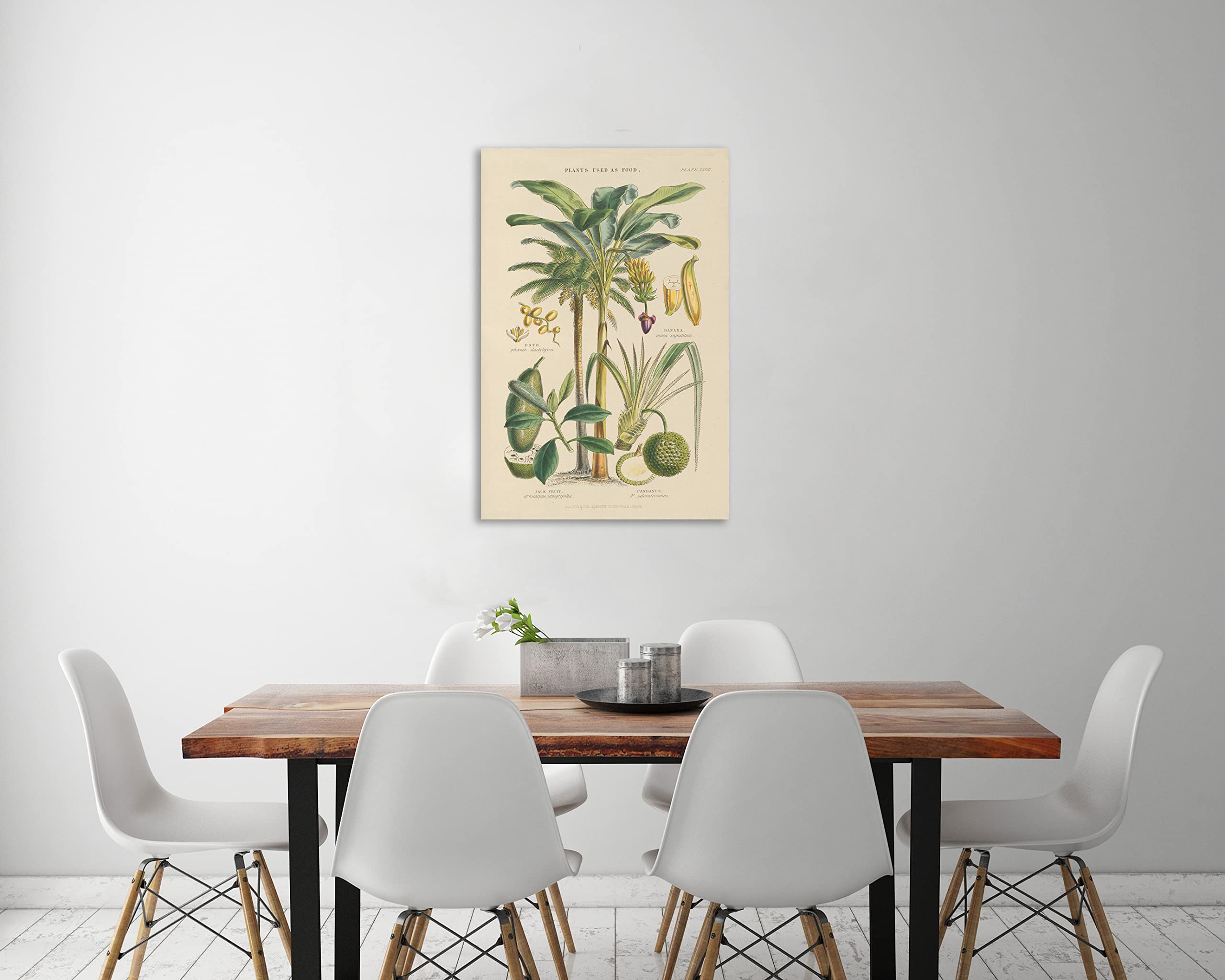 Jaxson Rea Fruit Trees Gallery Wrapped Canvas Wall Art - 28