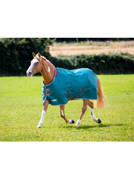 Shires Tempest Medium Weight Turnout Rug & Neck Cover - Waterproof Horse Blanket for Winter Riding and Stable Use