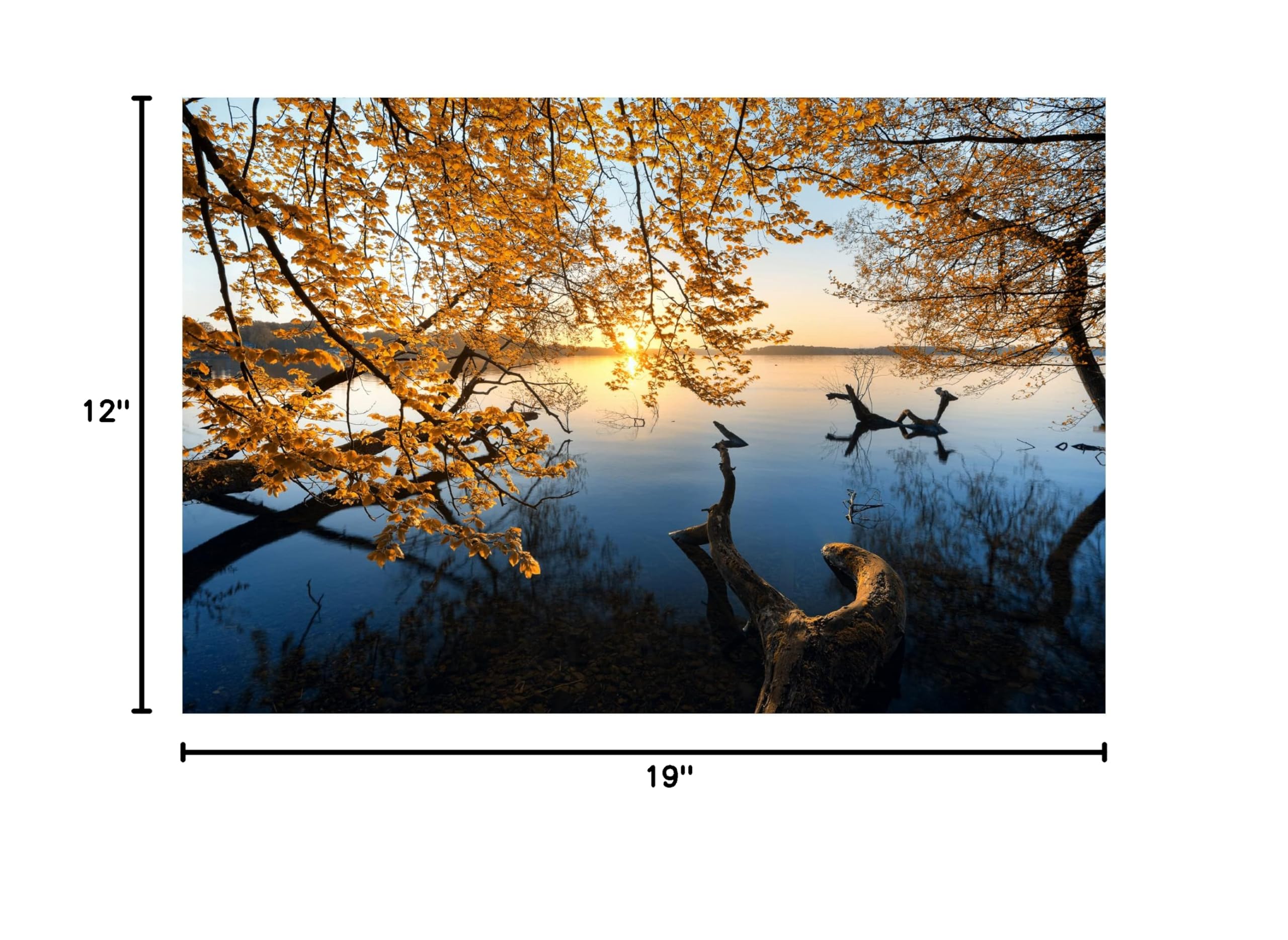 Trademark Fine Art 'Autumn Morning' Canvas Wall Art by Keller - Perfect for Living Room, Bedroom & Office Decor