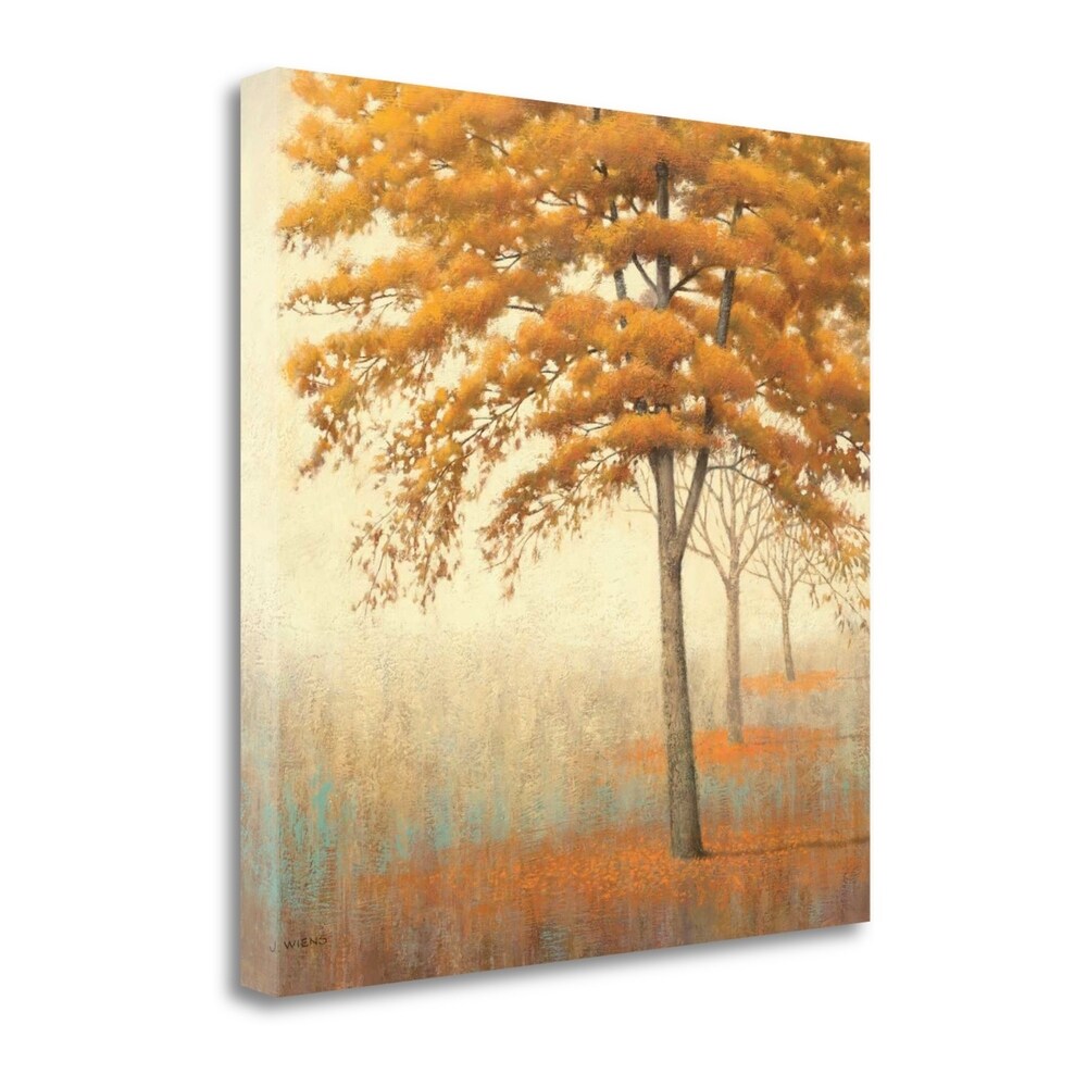 Autumn Trees Fine Art Print by James Wiens - Gallery Wrapped Canvas Giclee Reproduction - Ready to Hang Wall Decor for Living Room, Bedroom & Office