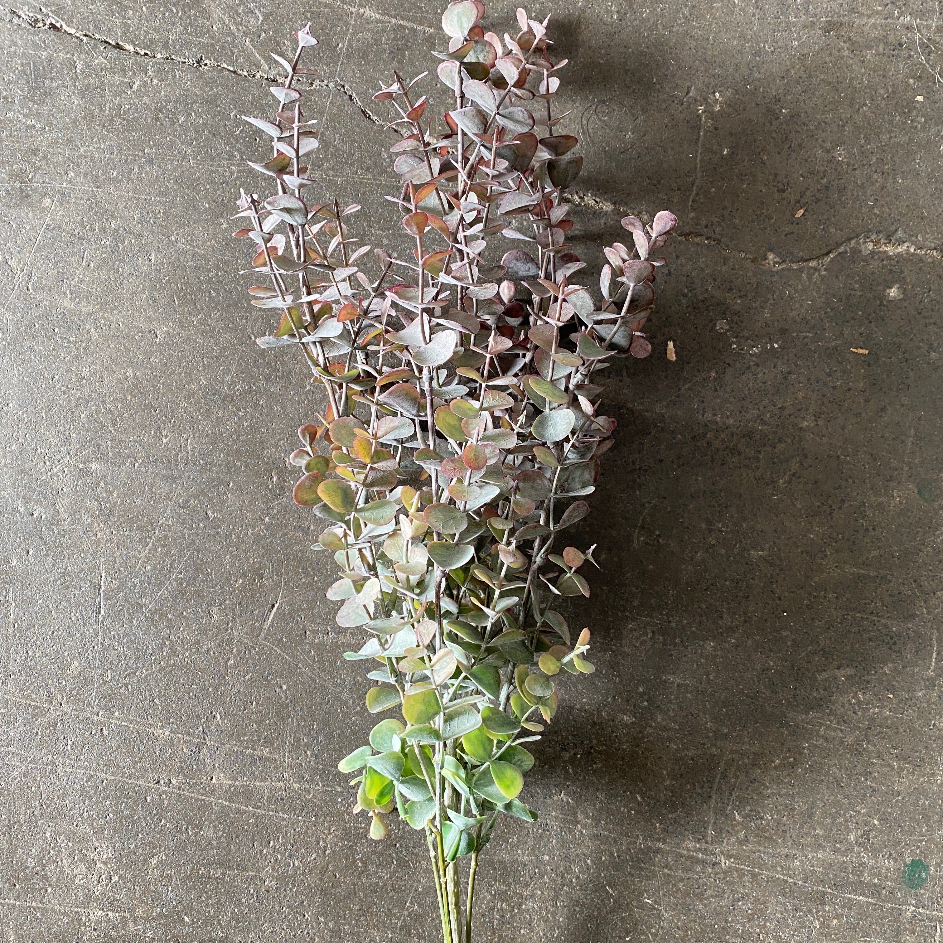 Artificial Purple Eucalyptus Bush - 2 Stems for Home Decor, Wedding Centerpieces, and Floral Arrangements | Realistic Faux Greenery for DIY Crafts and Seasonal Displays