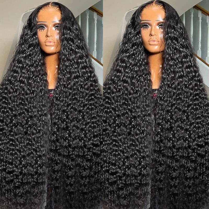 Eullair 4x4 HD Transparent Lace Closure Wig - 100% Human Hair Wigs for Women with All Textures (12