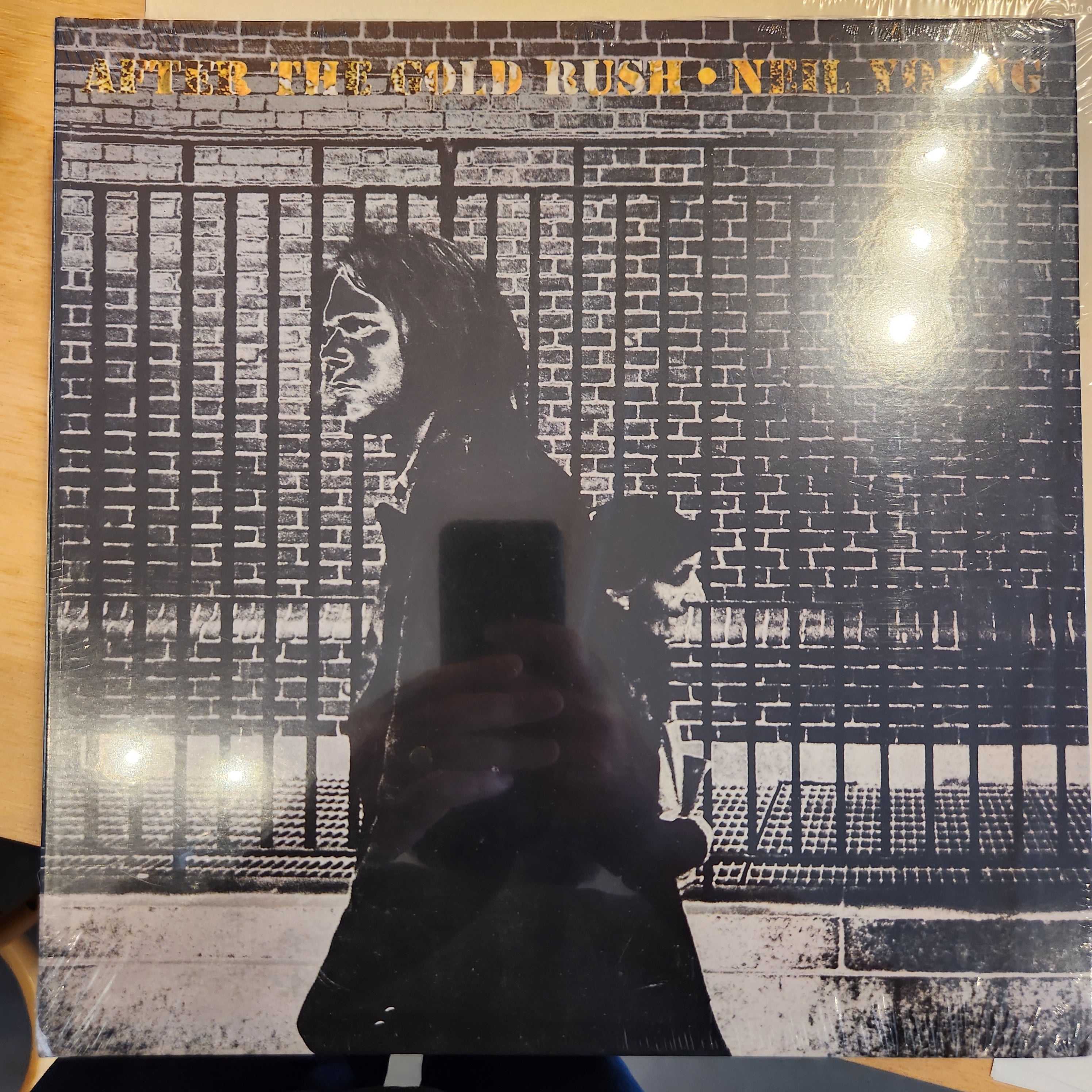 Neil Young - After the Gold Rush Vinyl LP Record | Classic Rock Music Album | Perfect for Vinyl Collectors & Music Lovers | Home Listening & Gift Idea