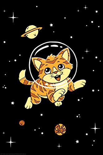 Laminated Poster