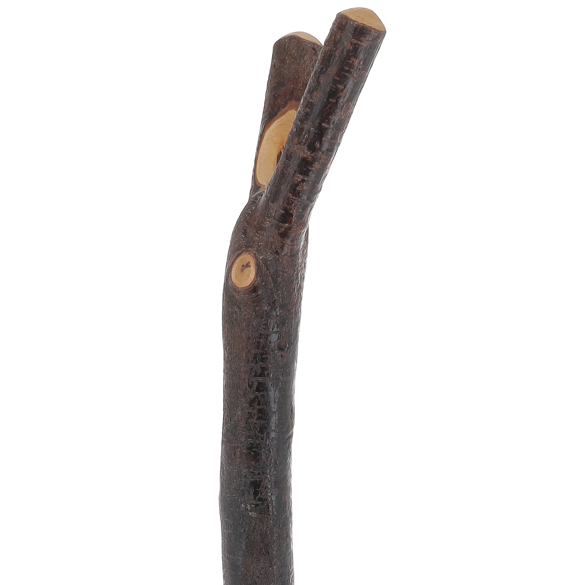 Blackthorn Thumbstick Hiking Staff - Handcrafted Natural Wood Walking Stick for Outdoor Adventures, Trekking & Mountain Climbing | Perfect Hiking Accessory for Camping, Backpacking & Nature Walks