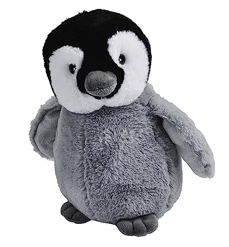 Emperor Penguin Chick