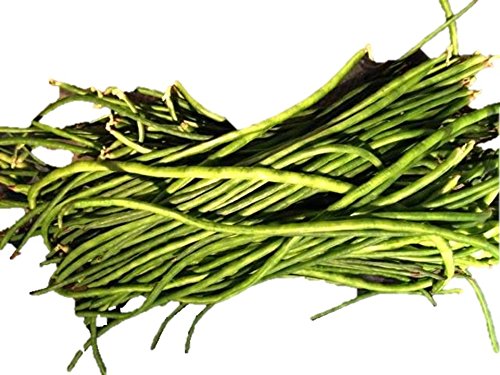 Black Yardlong Bean Seeds - Southern Grower Variety | Chinese Long Bean | 10 Seed Packet for Home Garden & Asian Cuisine