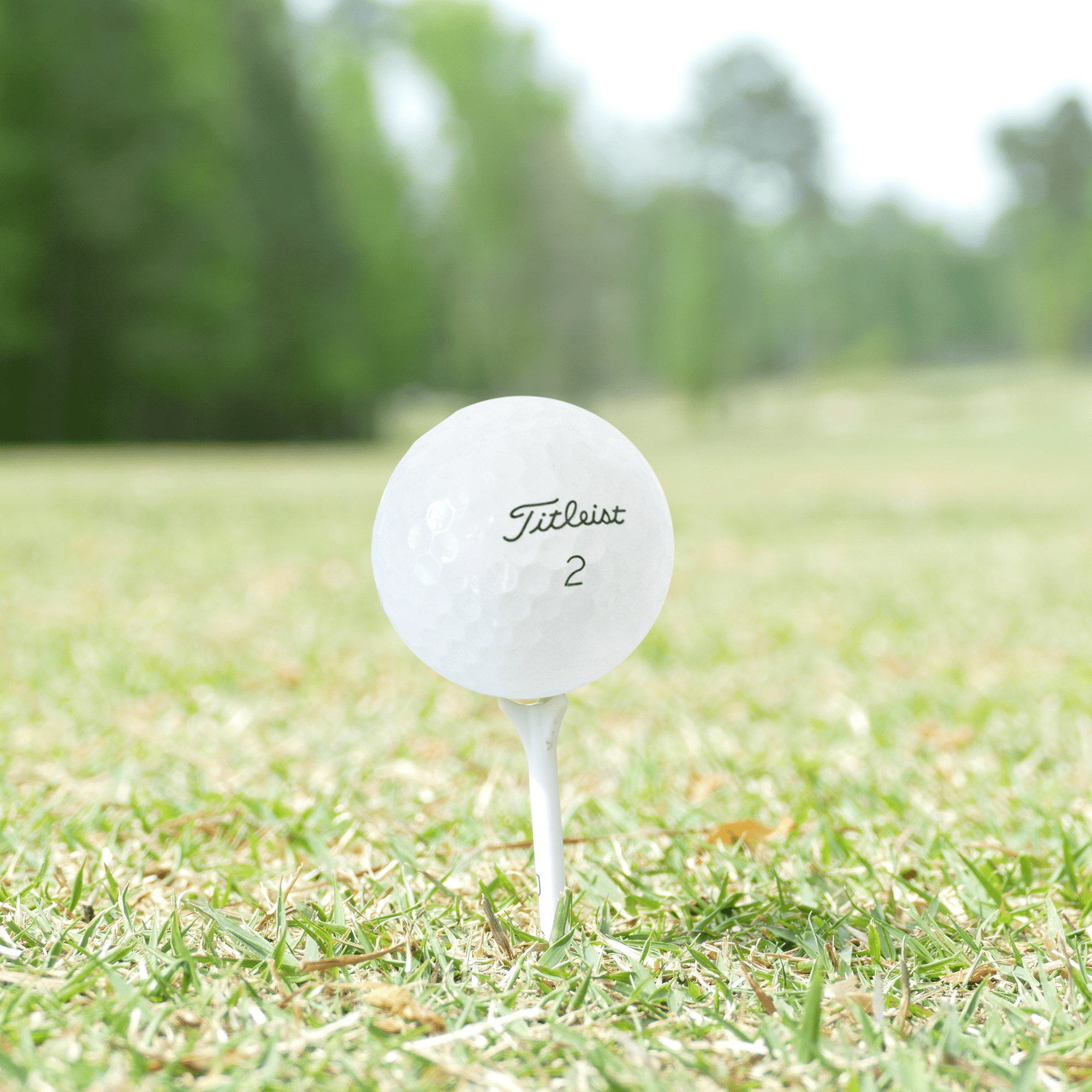 Premium Used Titleist 2023 Pro V1 Golf Balls - 12 Pack (1 Dozen) | High-Performance Golf Balls for Practice & Tournament Play | Perfect for Driving Range, Course Play & Gift Giving