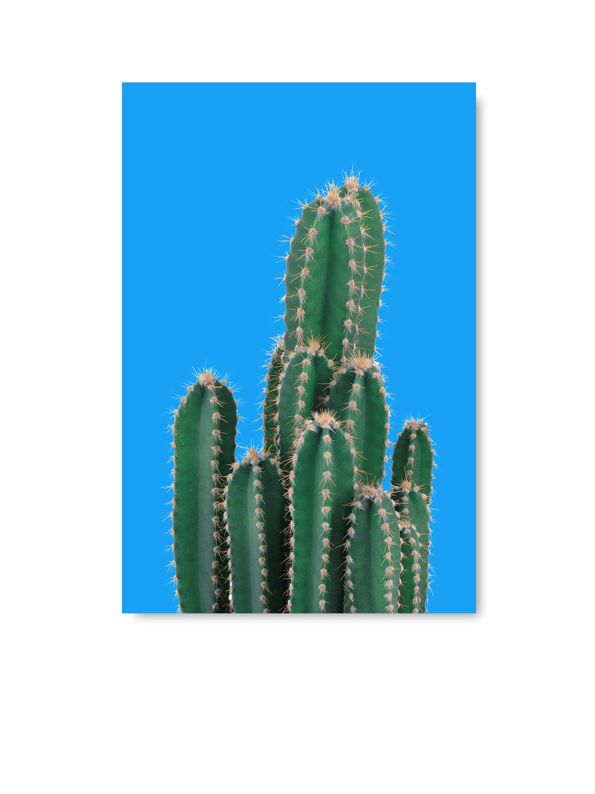Funny Cactus Christmas Sweater Poster - 15x22 Inch Boho Wall Art Decor for Living Room, Bedroom & Office - Unique Ugly Holiday Sweater Print for Festive Home Decor