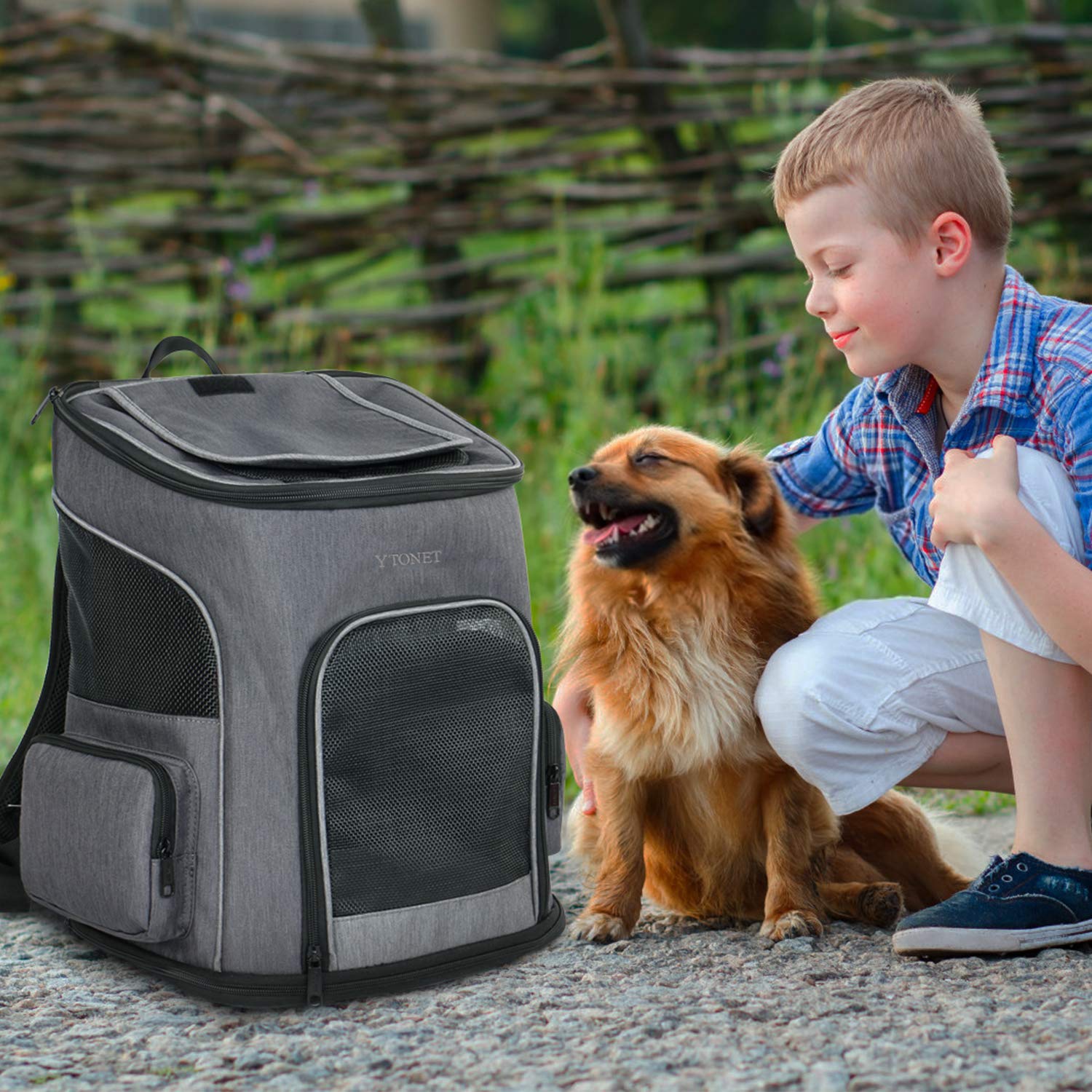 Ventilated Cat Backpack Carrier for Small Cats & Dogs - Travel Safe Pet Carrier with Adjustable Safety Straps - Ideal for Hiking, Walking, Air Travel & Outdoor Adventures - Black