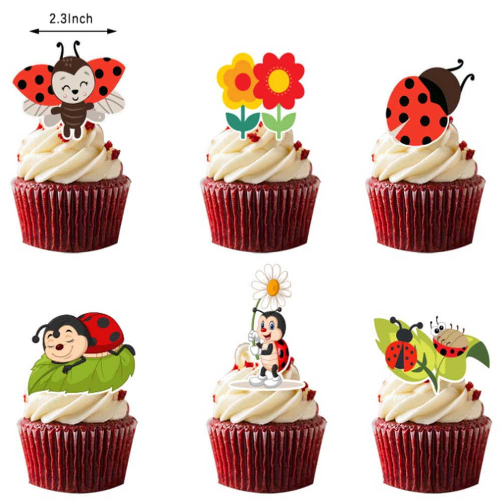 Ladybug Themed Birthday Party Supplies Kit for Girls - Includes Banner, Balloons, Tableware & Favor Pack for 8 Kids | Perfect for Garden Parties, Spring Celebrations & Children's Birthday Decorations